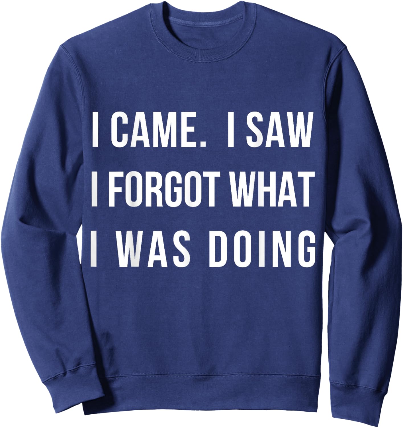 I Came I Saw I Forgot What I was Doing Sarcastic Small Sweatshirt - Sweatshirt | Navy