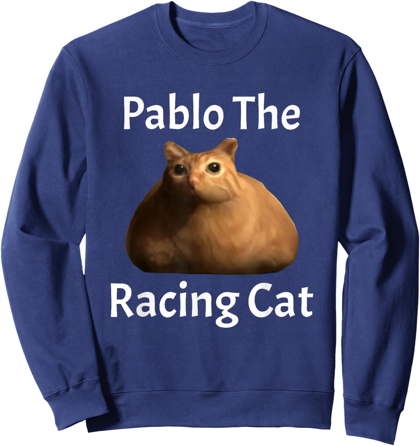 Pablo The Racing Cat , Small, Black Sweatshirt - Sweatshirt | Navy