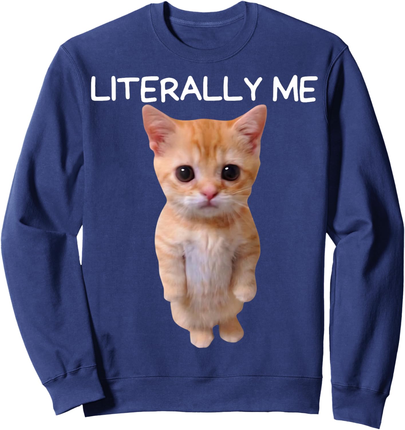 Literally Me Cat Meme Funny Memes Internet Memes Gen Z Joke Sweatshirt - Sweatshirt | Navy