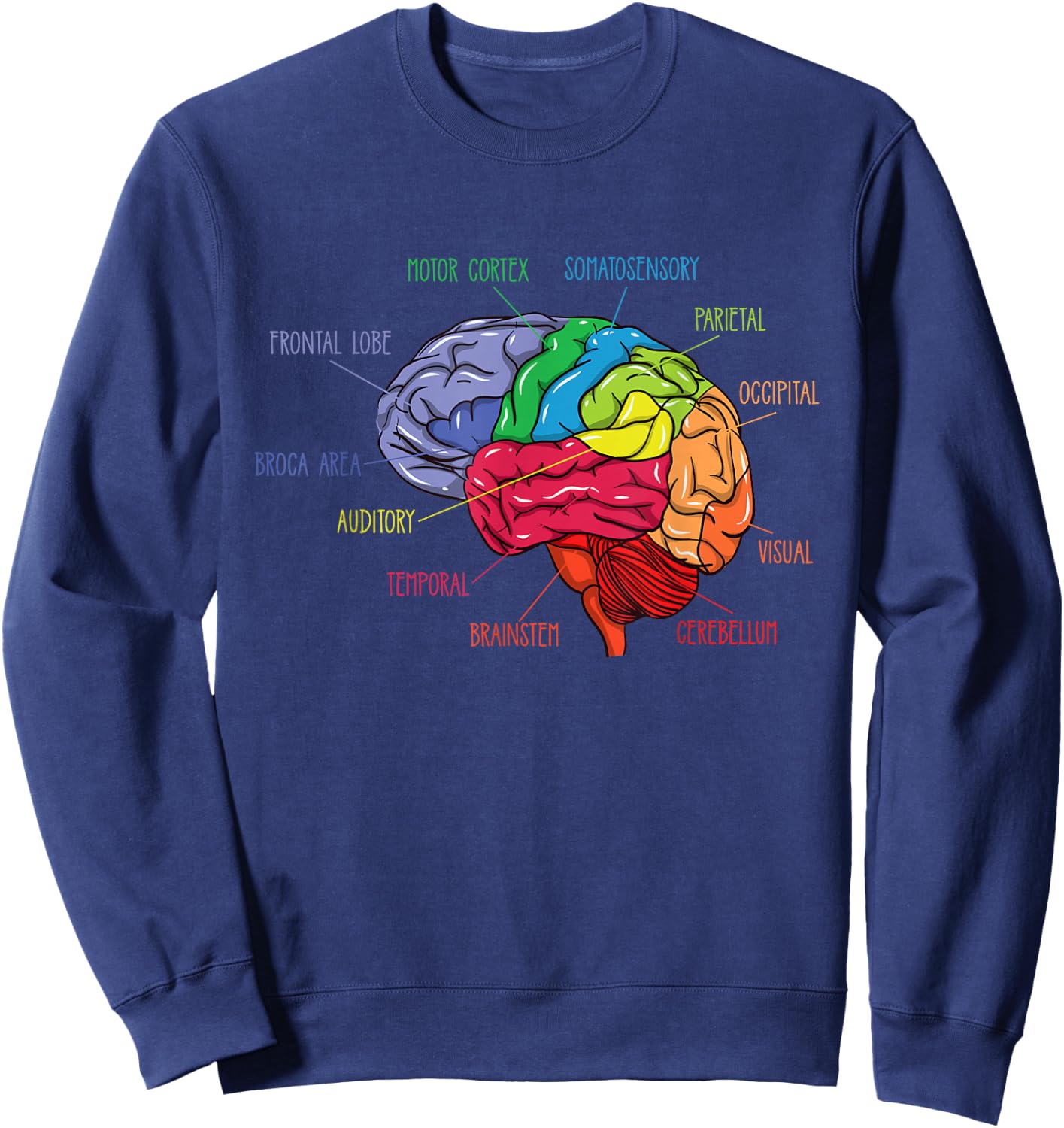 Anatomy Of The Brain Neurologist Gift Sweatshirt - Sweatshirt | Navy