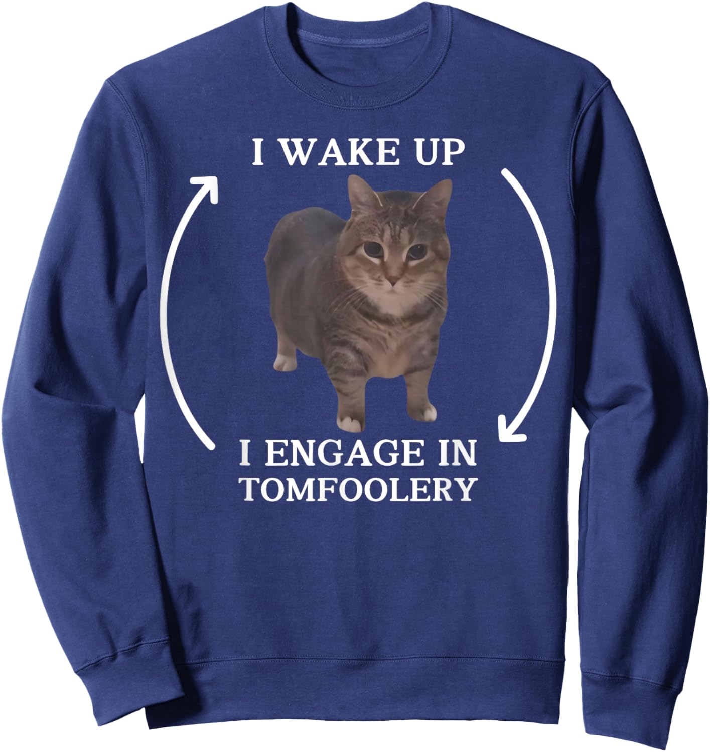 I Wake Up I Engage in Tomfoolery Meme Funny Memes Cat Meme Men Women Sweatshirt - Sweatshirt | Navy