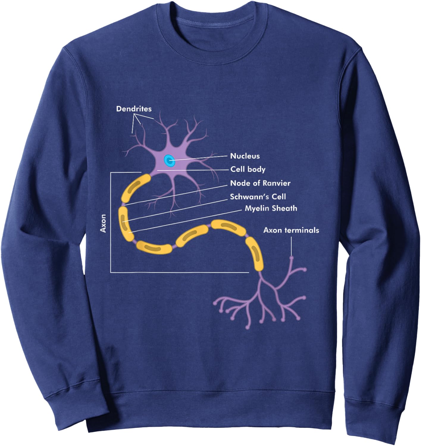 Anatomy of Neuron Neurologist Gift Sweatshirt - Sweatshirt | Navy