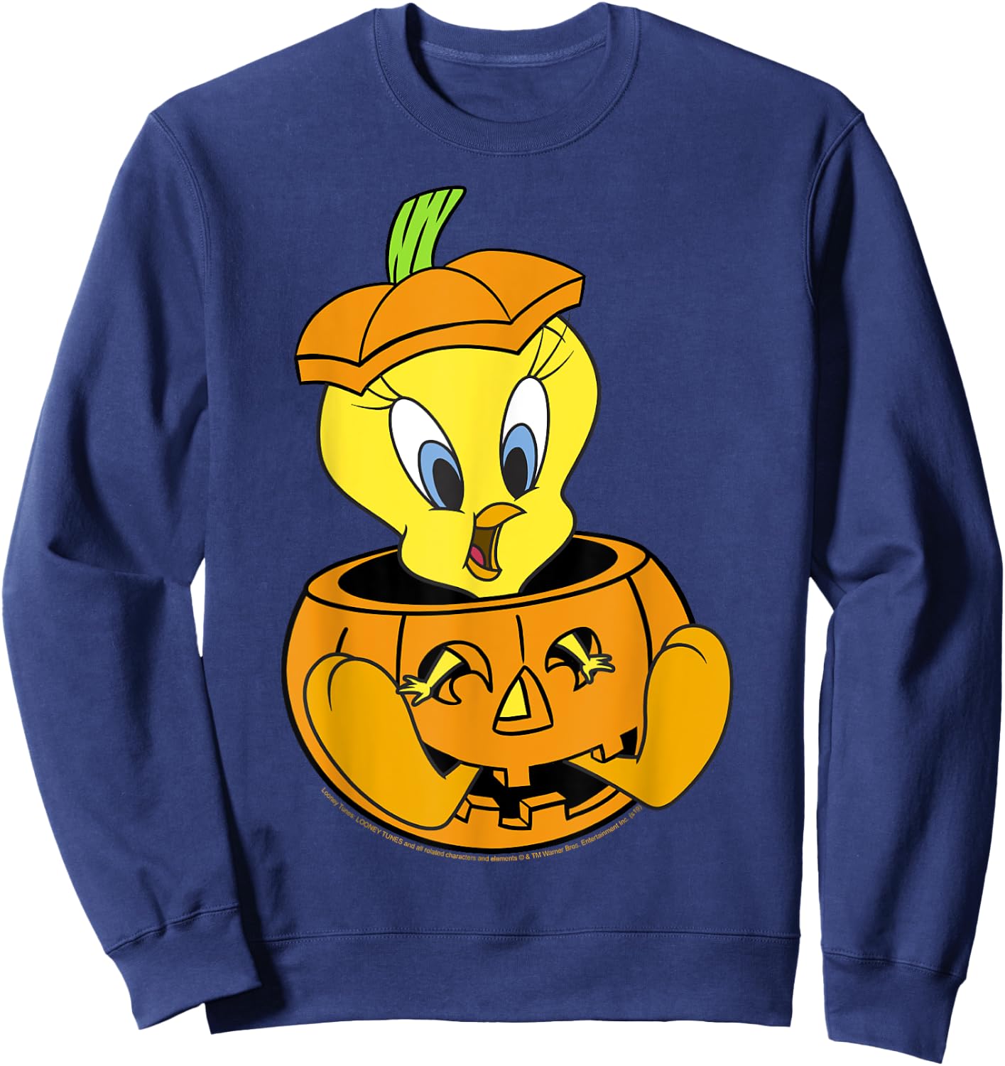 Looney Tunes Halloween Tweety Bird Pumpkin Sweatshirt - Sweatshirt | Navy
