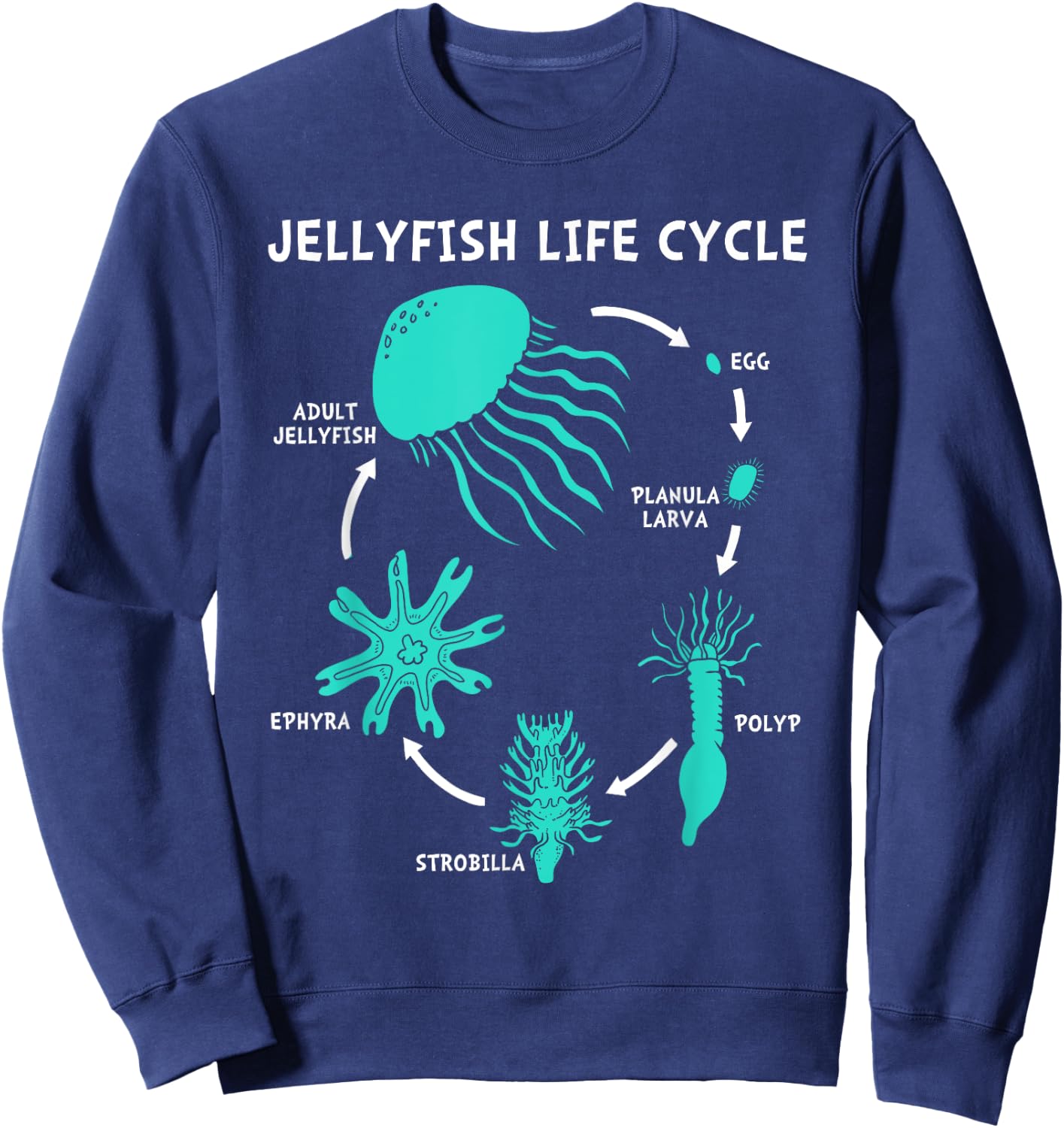 Life Cycle Of A Jellyfish Sweatshirt - Sweatshirt | Navy