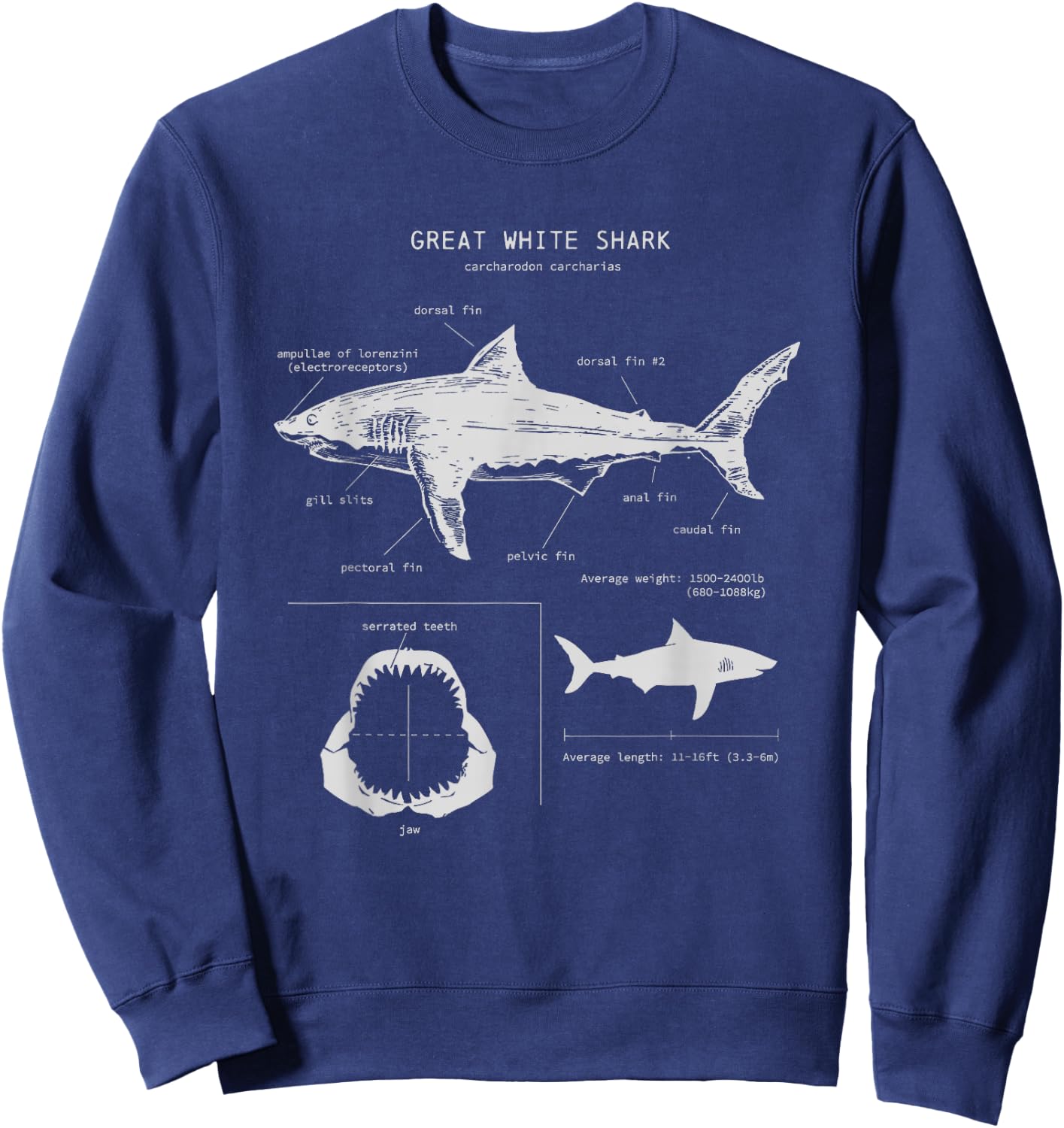 Great White Shark Anatomy , Marine Biologist Sweatshirt - Sweatshirt | Navy