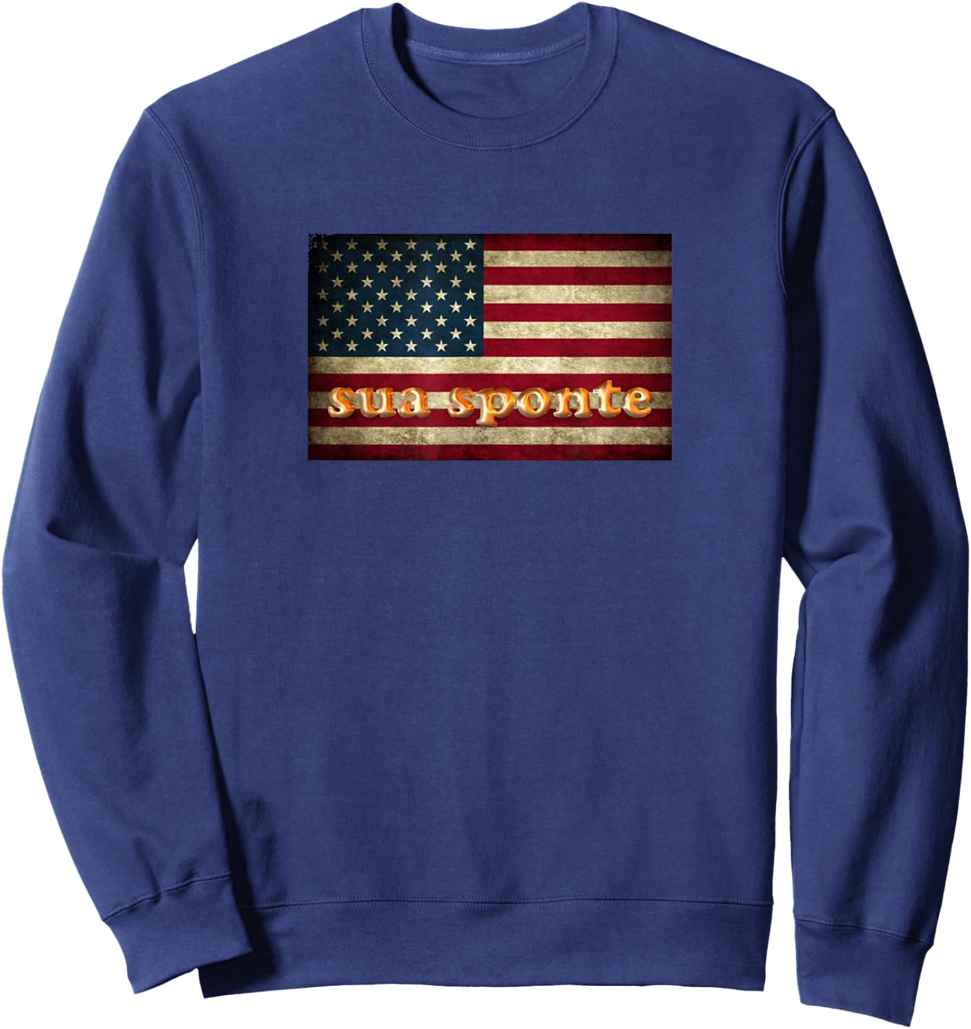 SUA SPONTE American Flag Sweatshirt - Sweatshirt | Navy