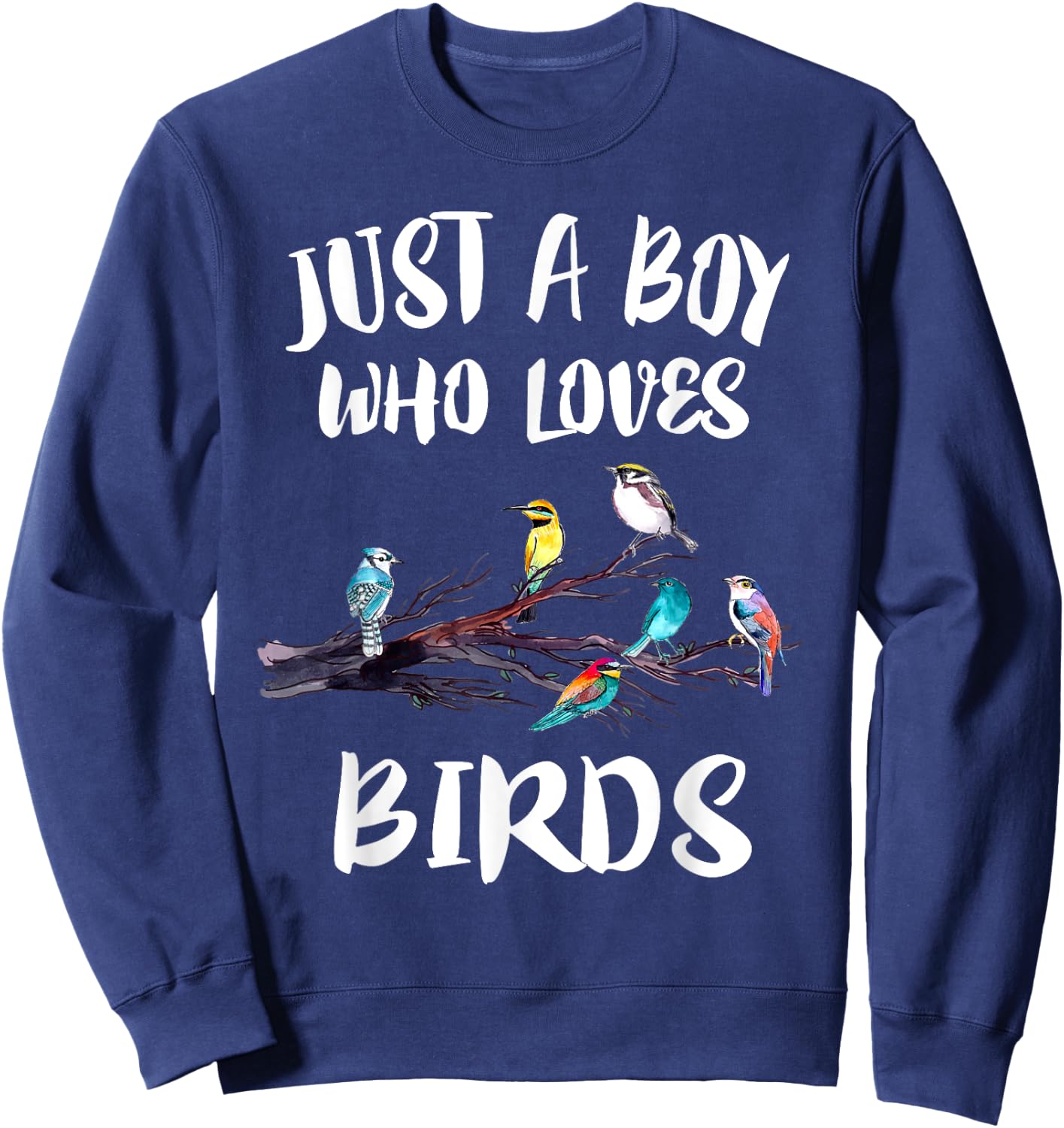 Just A Boy Who Loves Birds Birding Gift Sweatshirt - Sweatshirt | Navy