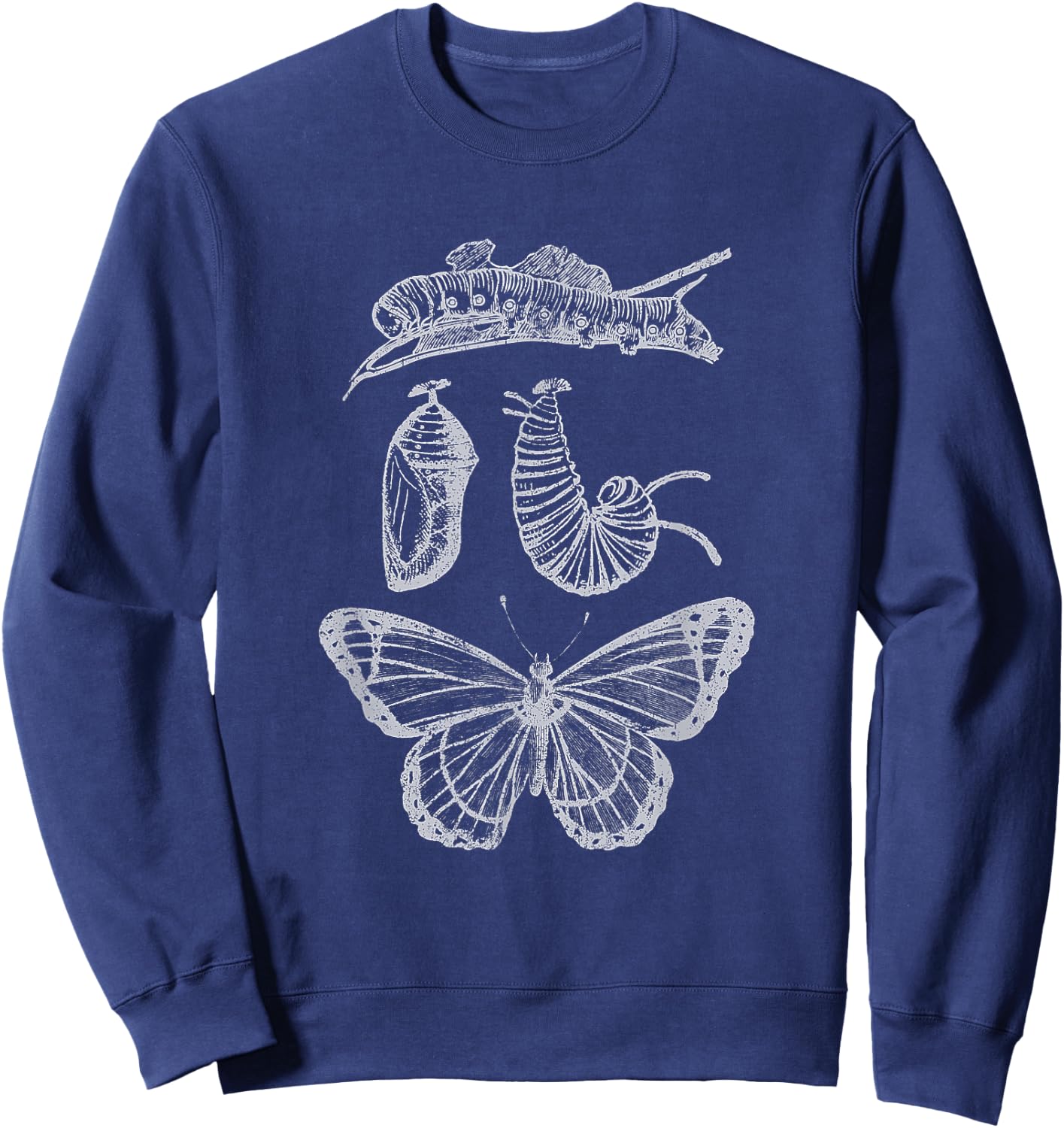 Butterfly Entomology Science Specimen Caterpillar Insect Bug Sweatshirt - Sweatshirt | Navy