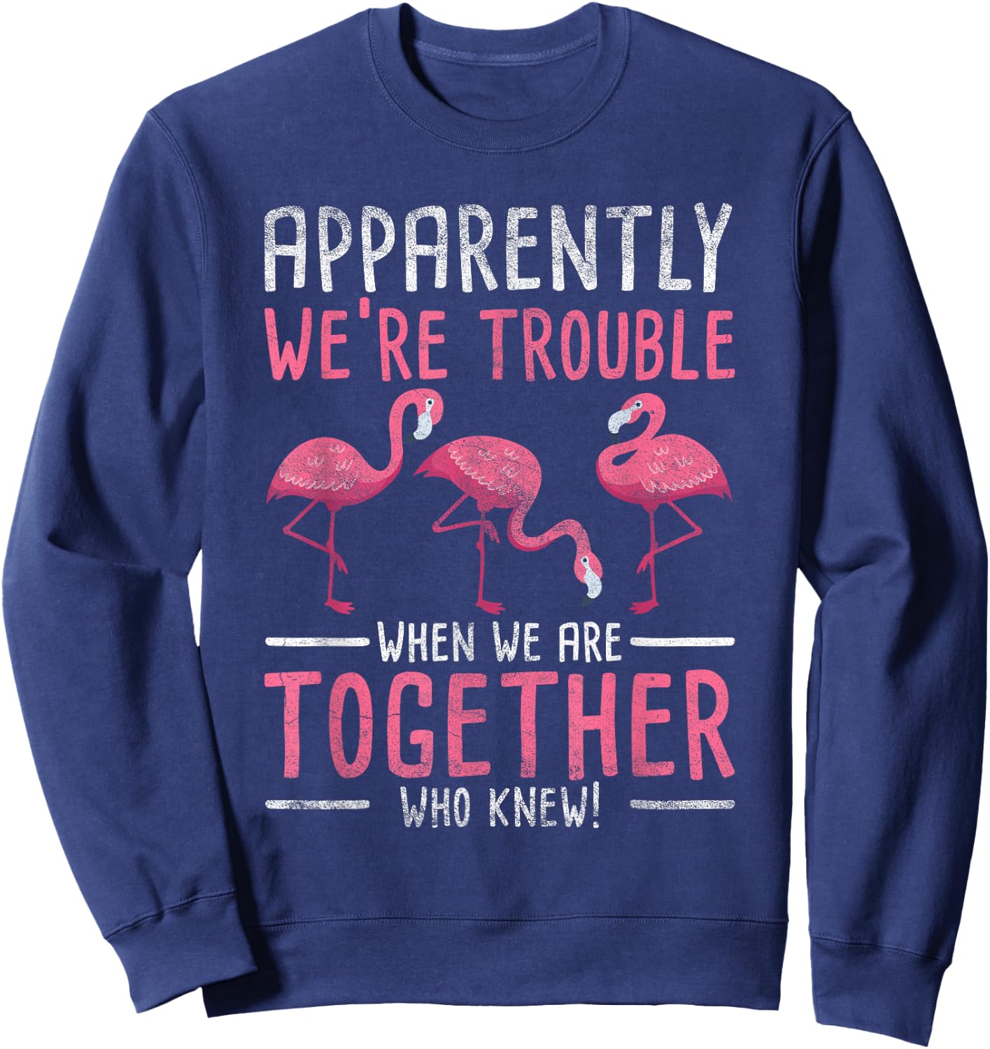 Apparently We Are Trouble Flamingo Sweatshirt - Sweatshirt | Navy
