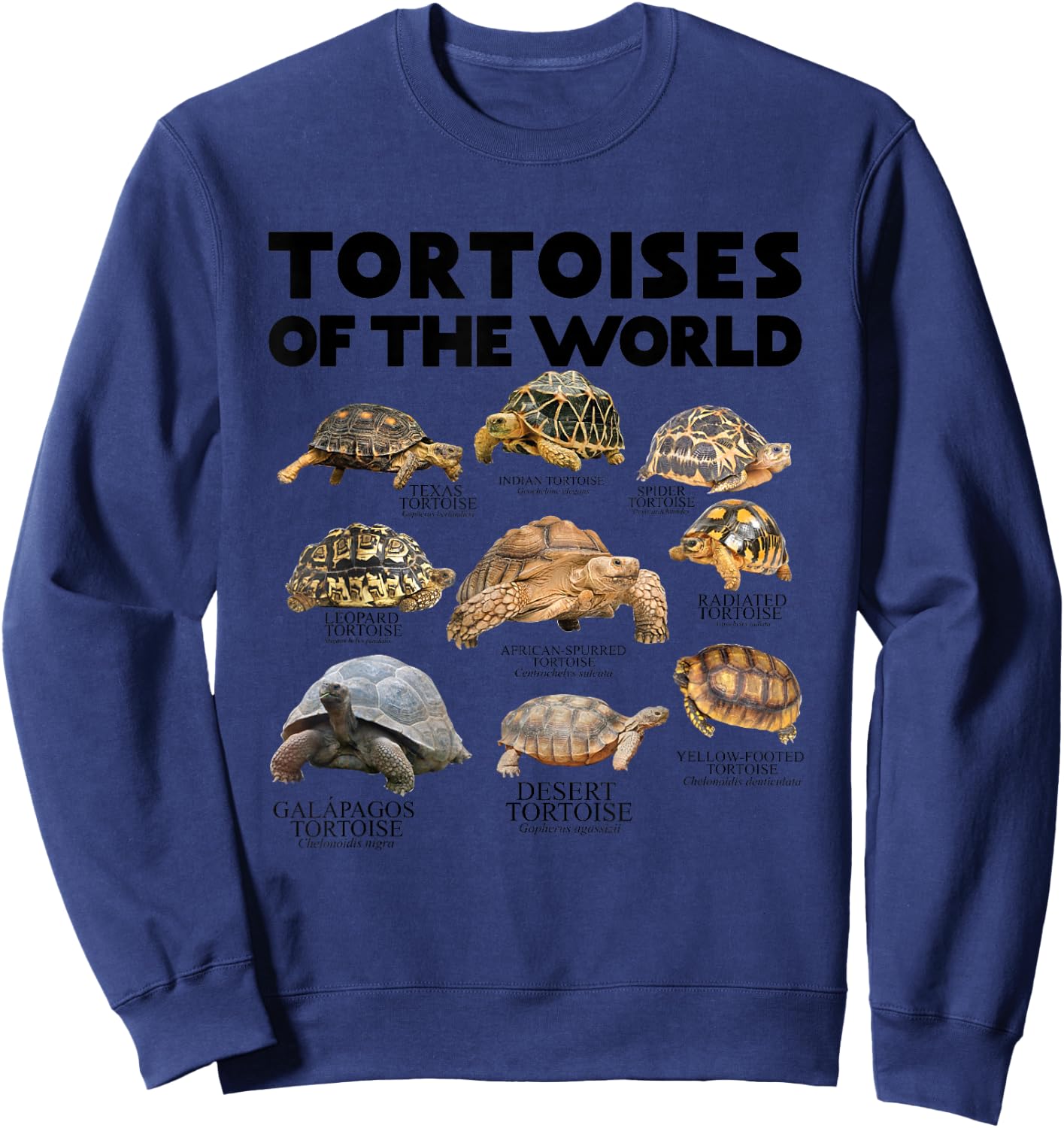 Tortoises of The World Turtles Lover Save The Tortoises Sweatshirt - Sweatshirt | Navy