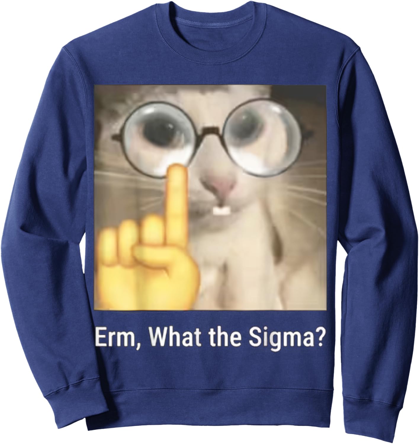Erm, What The Sigma? Cat Meme Funny Sweatshirt - Sweatshirt | Navy
