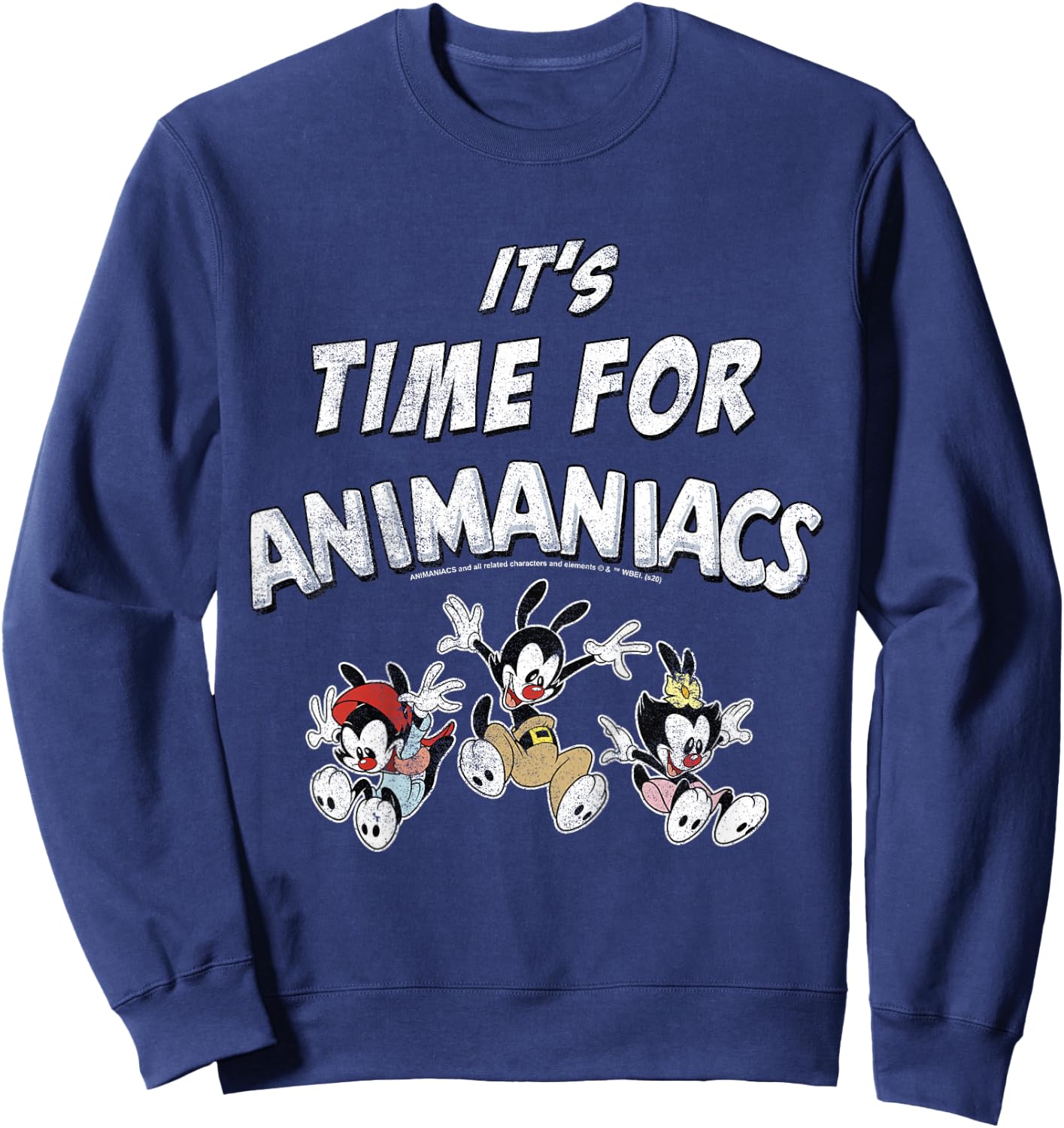 Kids Animaniacs It's Time For Animaniacs Group Shot Sweatshirt - Sweatshirt | Navy