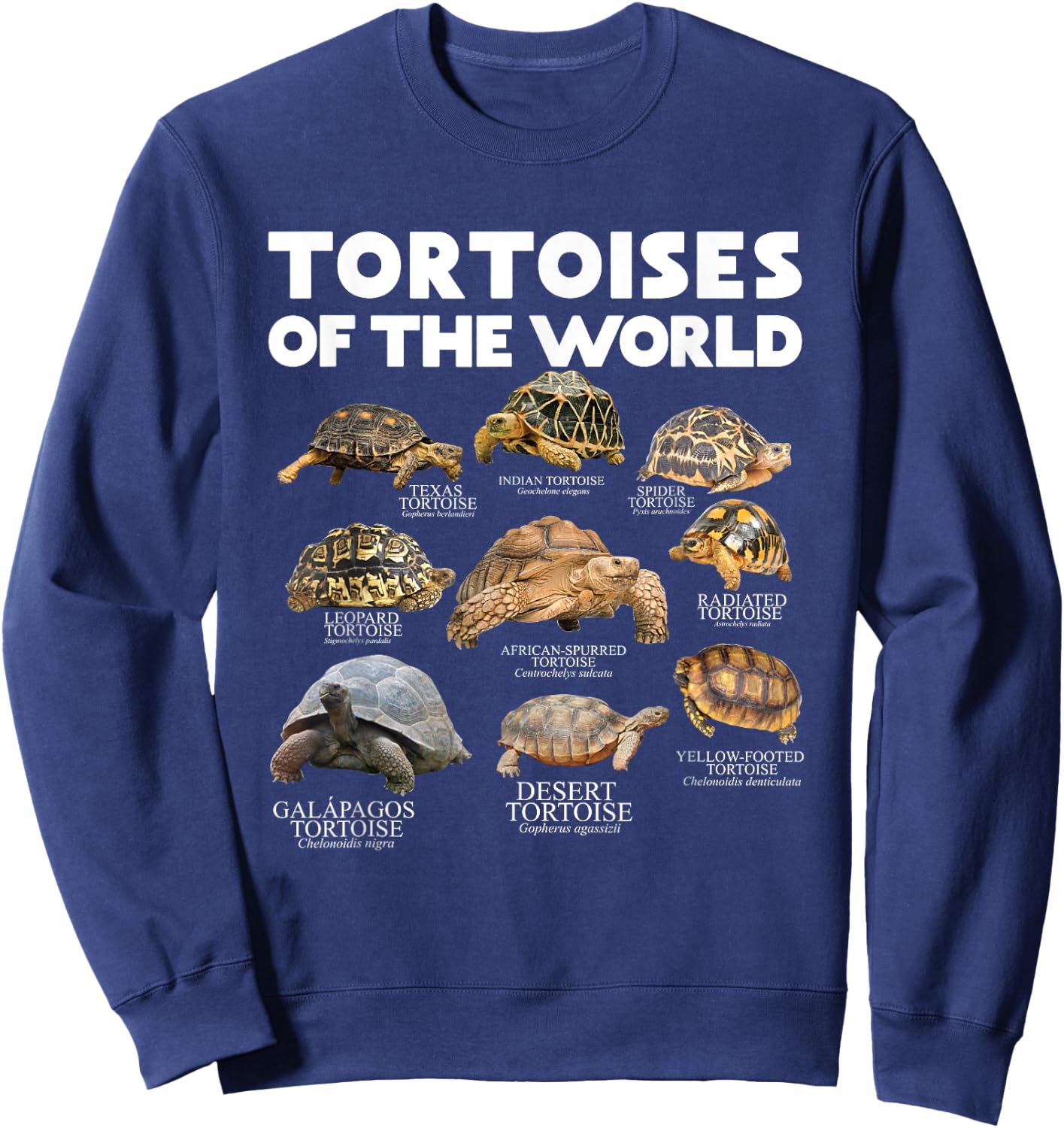 Tortoises Of The World Turtles Lover Save The Tortoises Sweatshirt - Sweatshirt | Navy