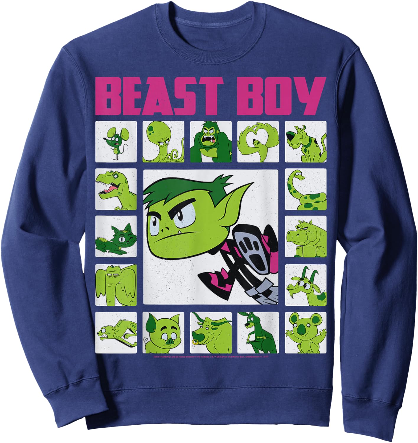 DC Comics Teen Titans Go! Beast Boy Box Up Sweatshirt - Sweatshirt | Navy