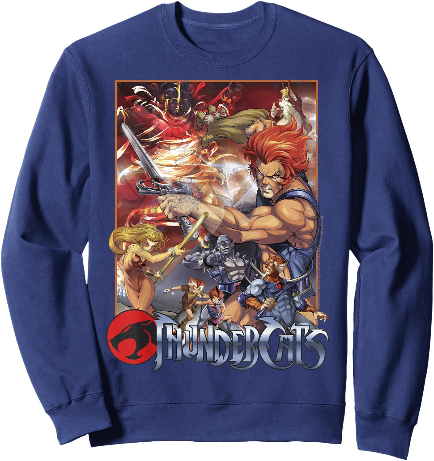 ThunderCats Adult Vintage , Black, Short Sleeve, Small Sweatshirt - Sweatshirt | Navy