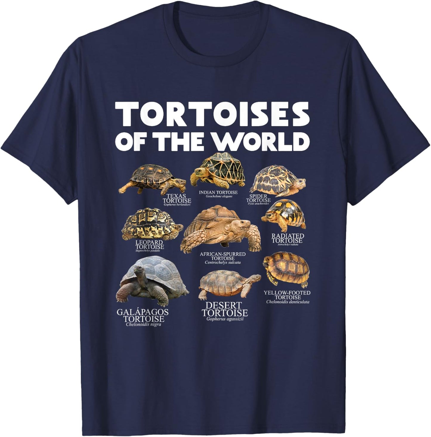 Tortoises Of The World Turtles Lover Save The Tortoises T-Shirt - T-Shirt | Navy