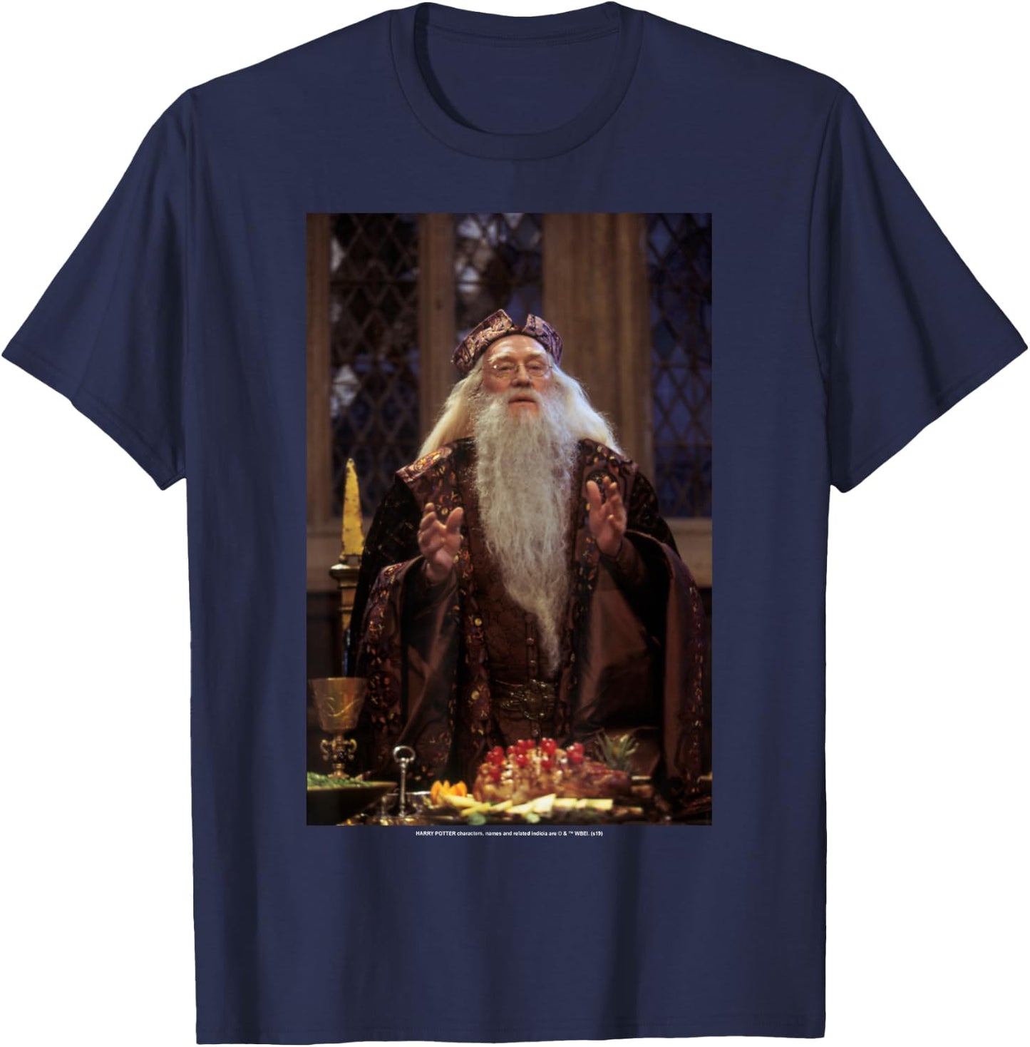 Harry Potter Professor Dumbledore Poster T-Shirt - T-Shirt | Navy