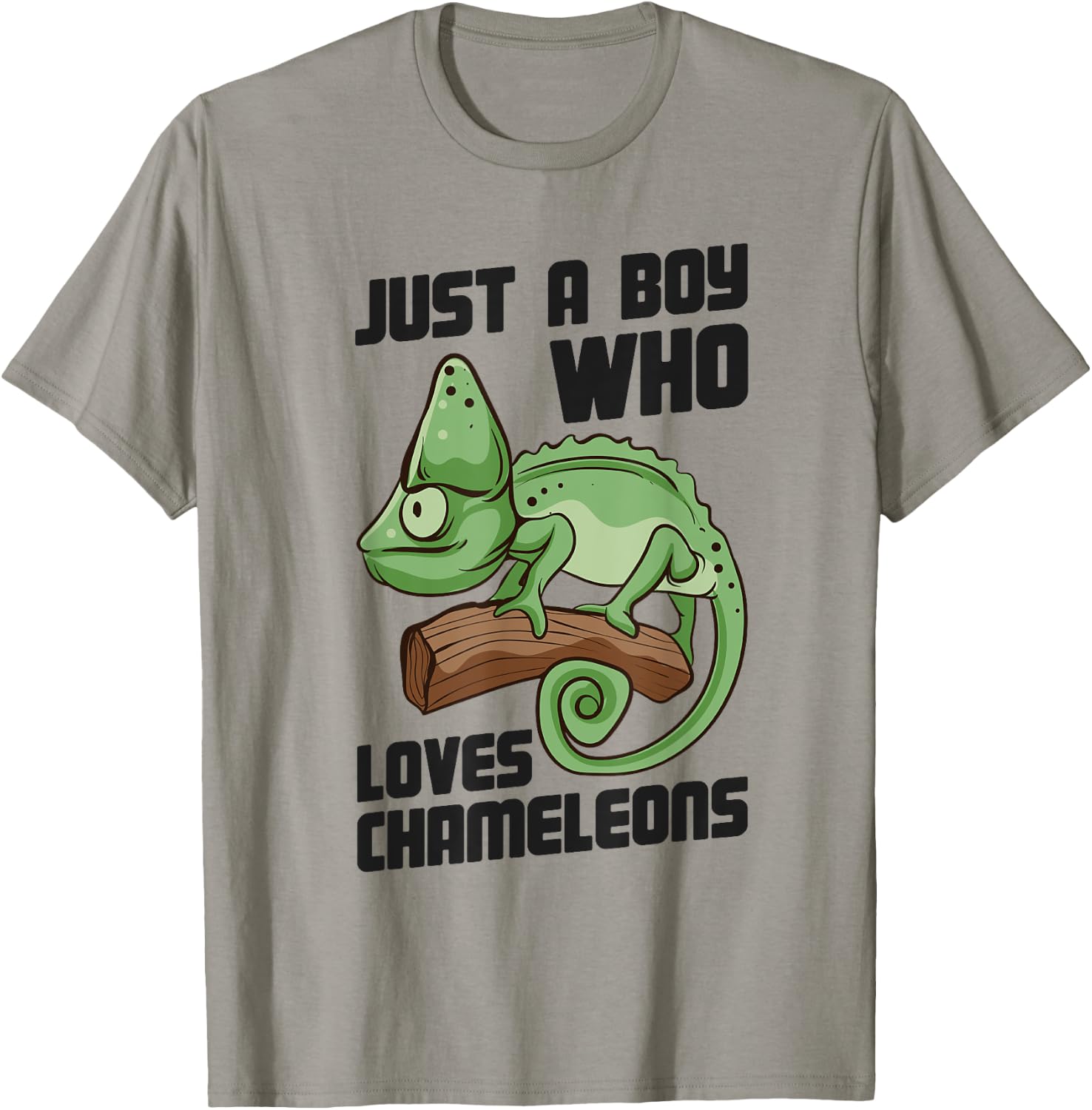 Cute Lizard Chameleon Just a Boy Who Loves Chameleons T-Shirt - T-Shirt | Sand