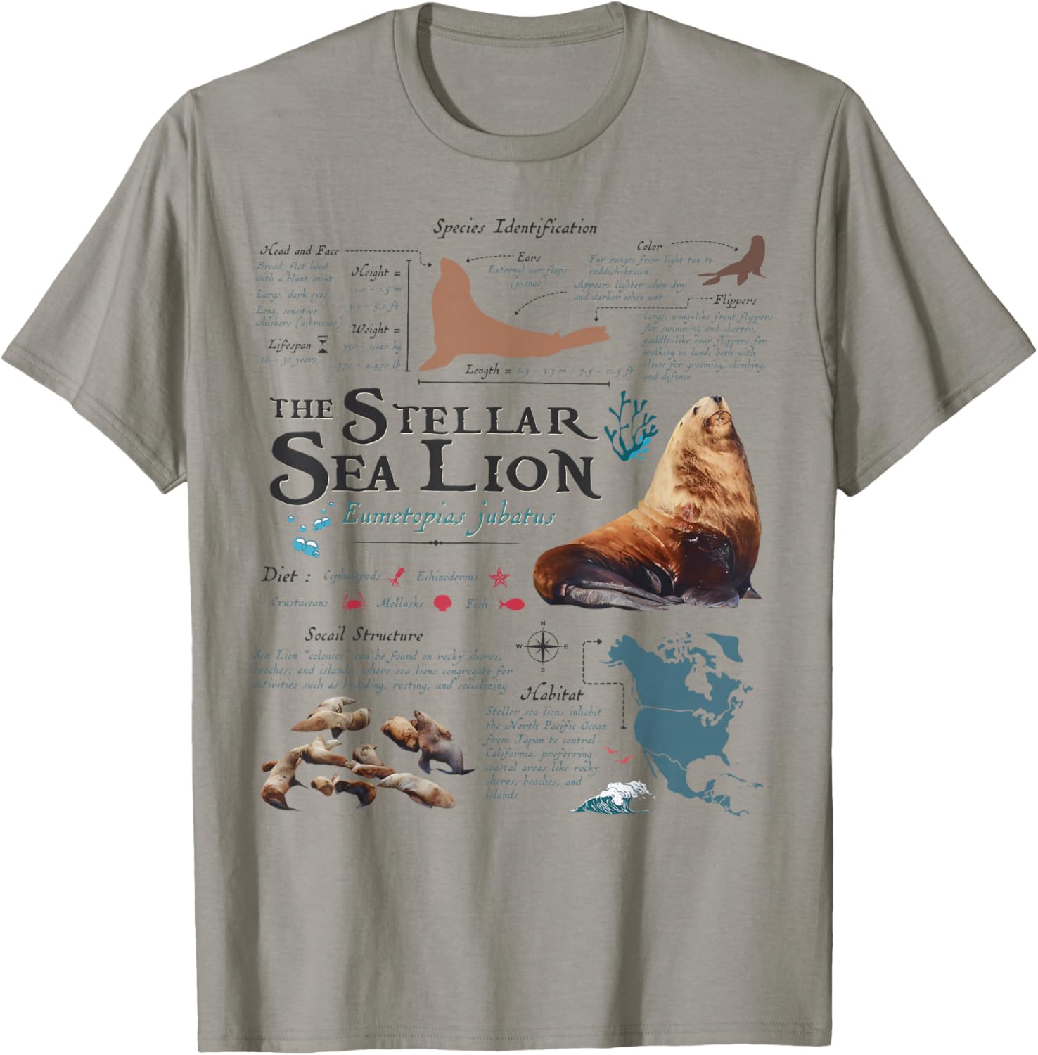 Vintage Stellar Sea Lion Anatomy Retro 90s Marine Biology T-Shirt - T-Shirt | Sand