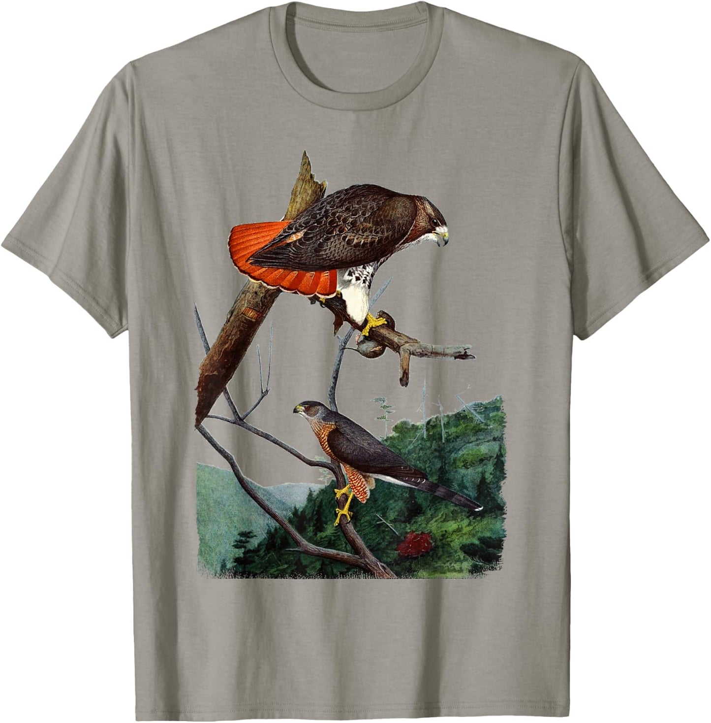 Red Tailed Hawk Red-Tailed Hawk Birder Gift T-Shirt - T-Shirt | Sand