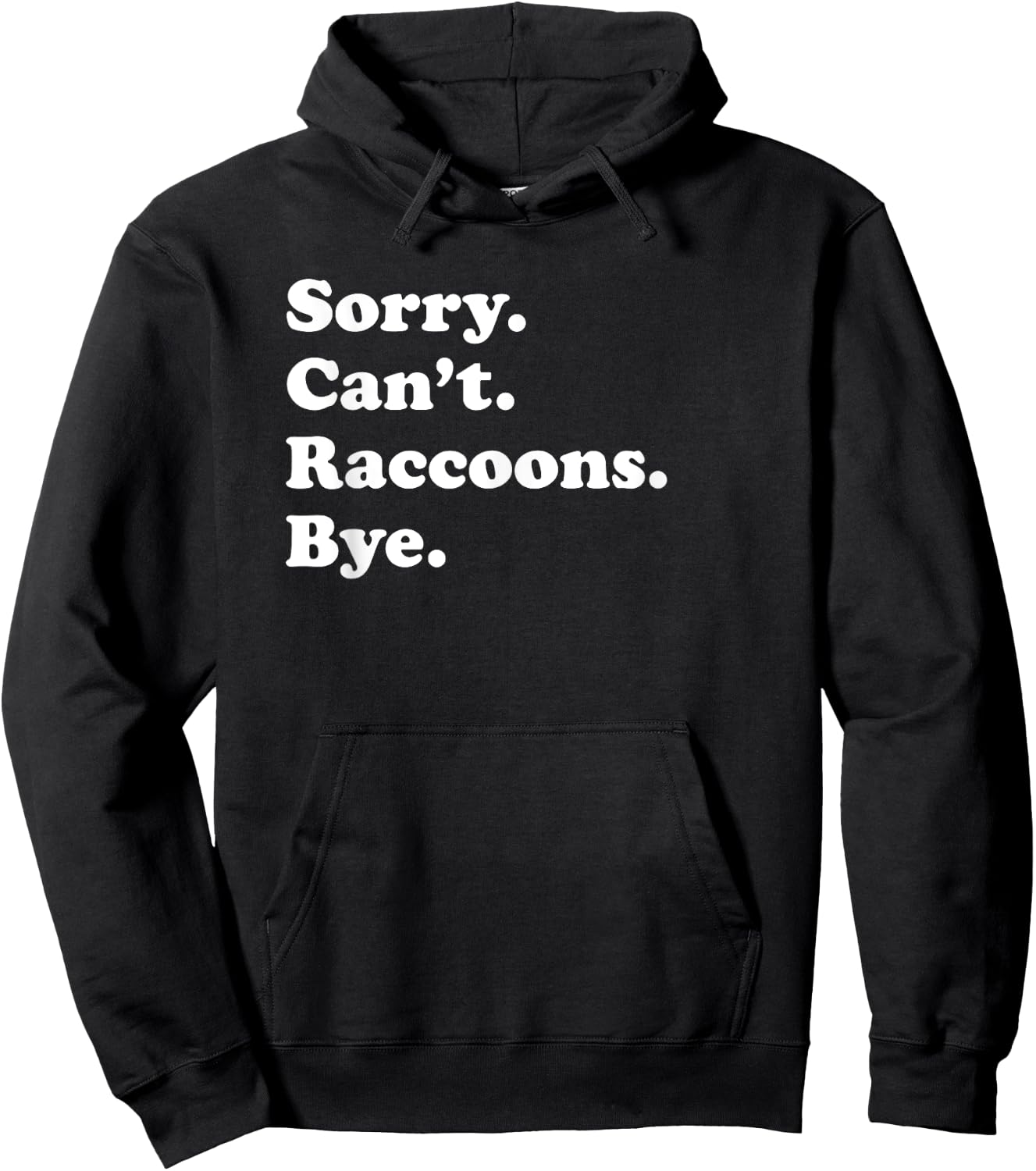 Funny Raccoon Gift Women Boys or Girls Hoodie - Hoodie | Black