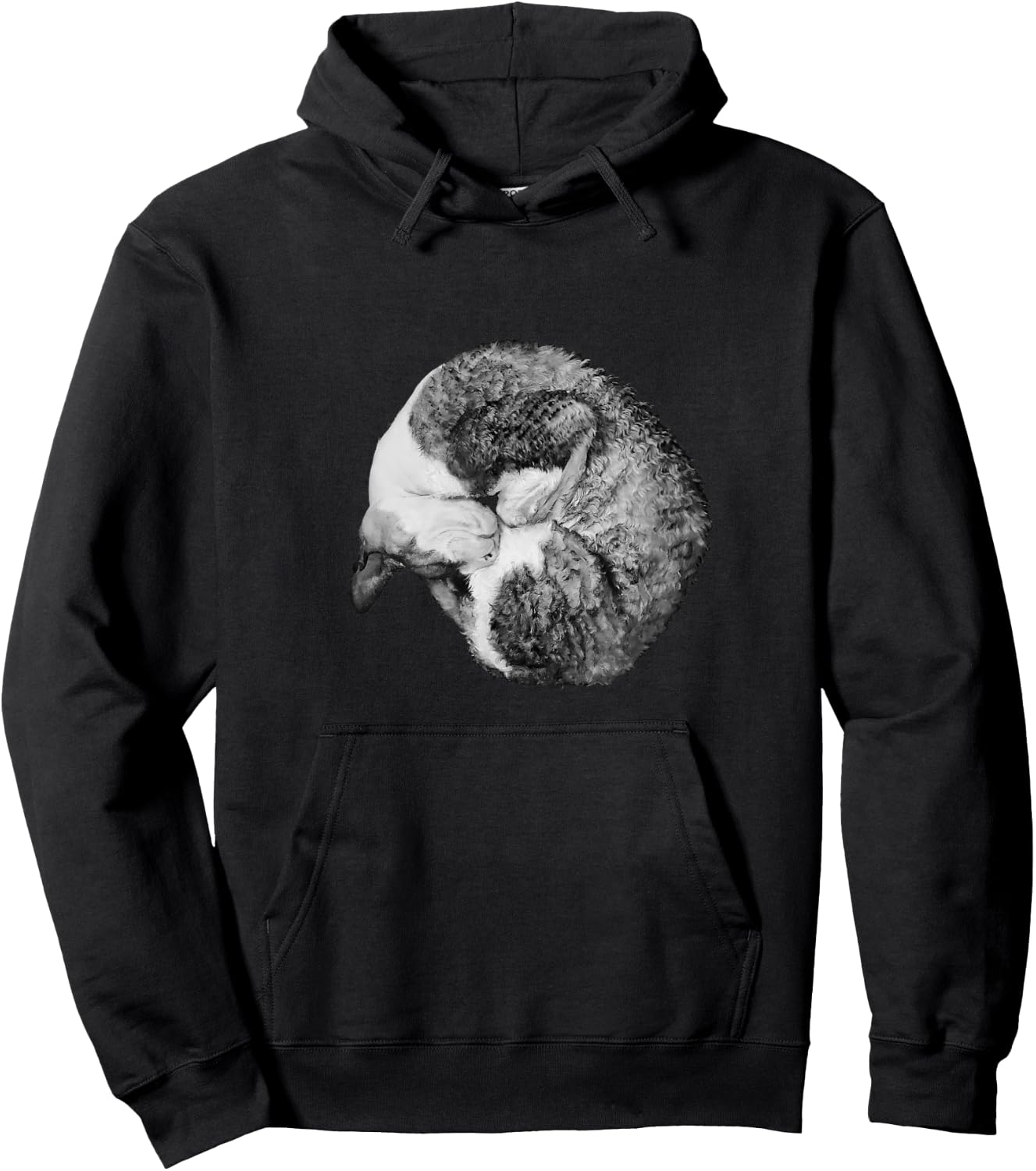 Adorable Wrap Around Cat Cornish Rex Men Women Kids Hoodie - Hoodie | Black