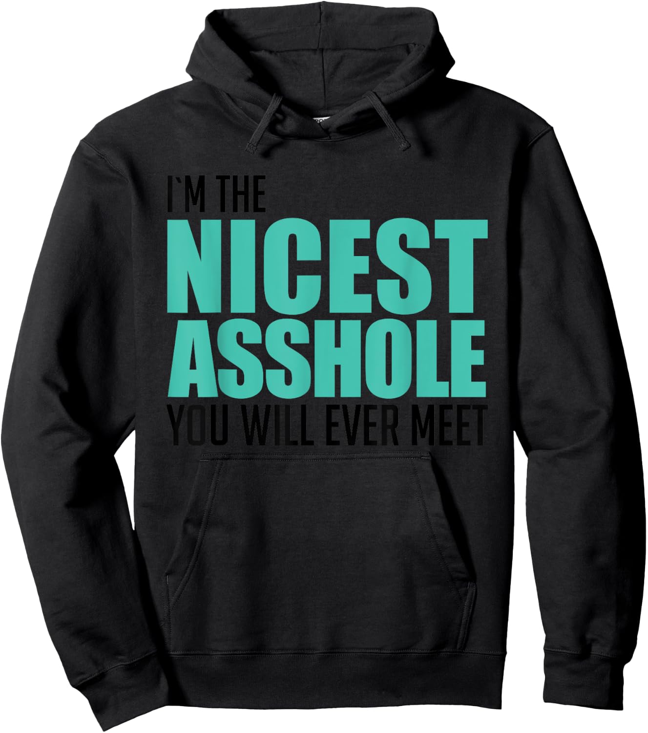 I'm The Nicest Asshole You'll Ever Meet Sarcastic Gift Hoodie - Hoodie | Black