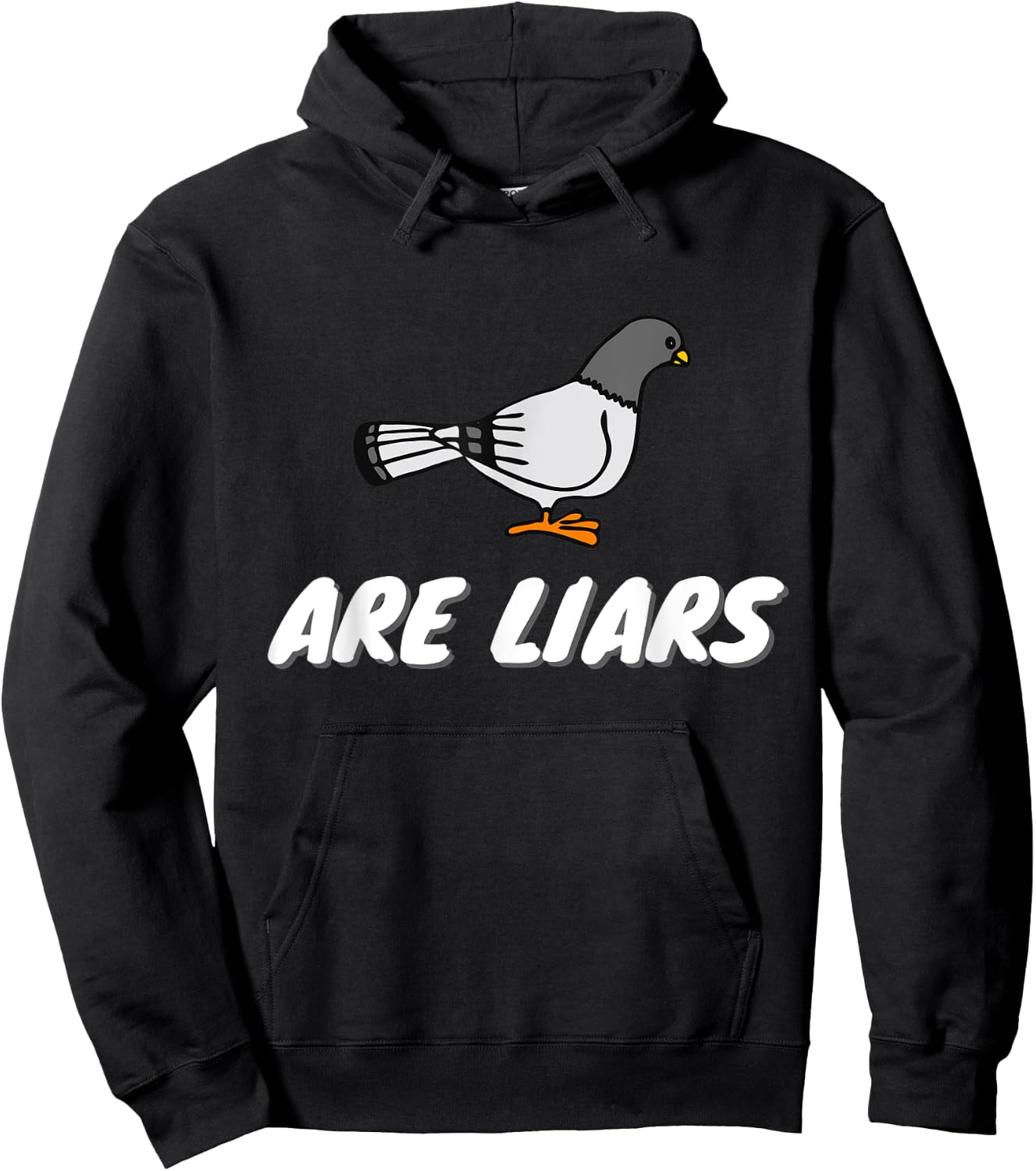 Pigeons Are Liars Bird Aren't Real Spies Gifts Men Women Hoodie - Hoodie | Black