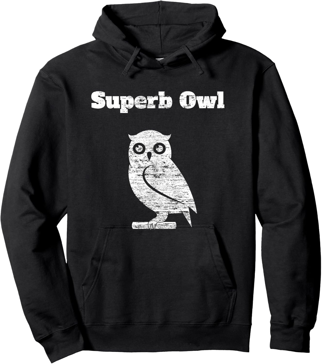 Wayne Rose Women's Black Modern Distressed Owl , Small, Short Sleeve, , Classic Fit, Cotton 60% Polyester 40% Hoodie - Hoodie | Black