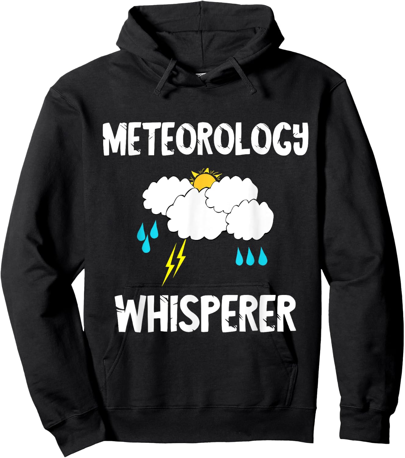 Meteorology Whisperer Meteorologist Forecaster Hoodie - Hoodie | Black