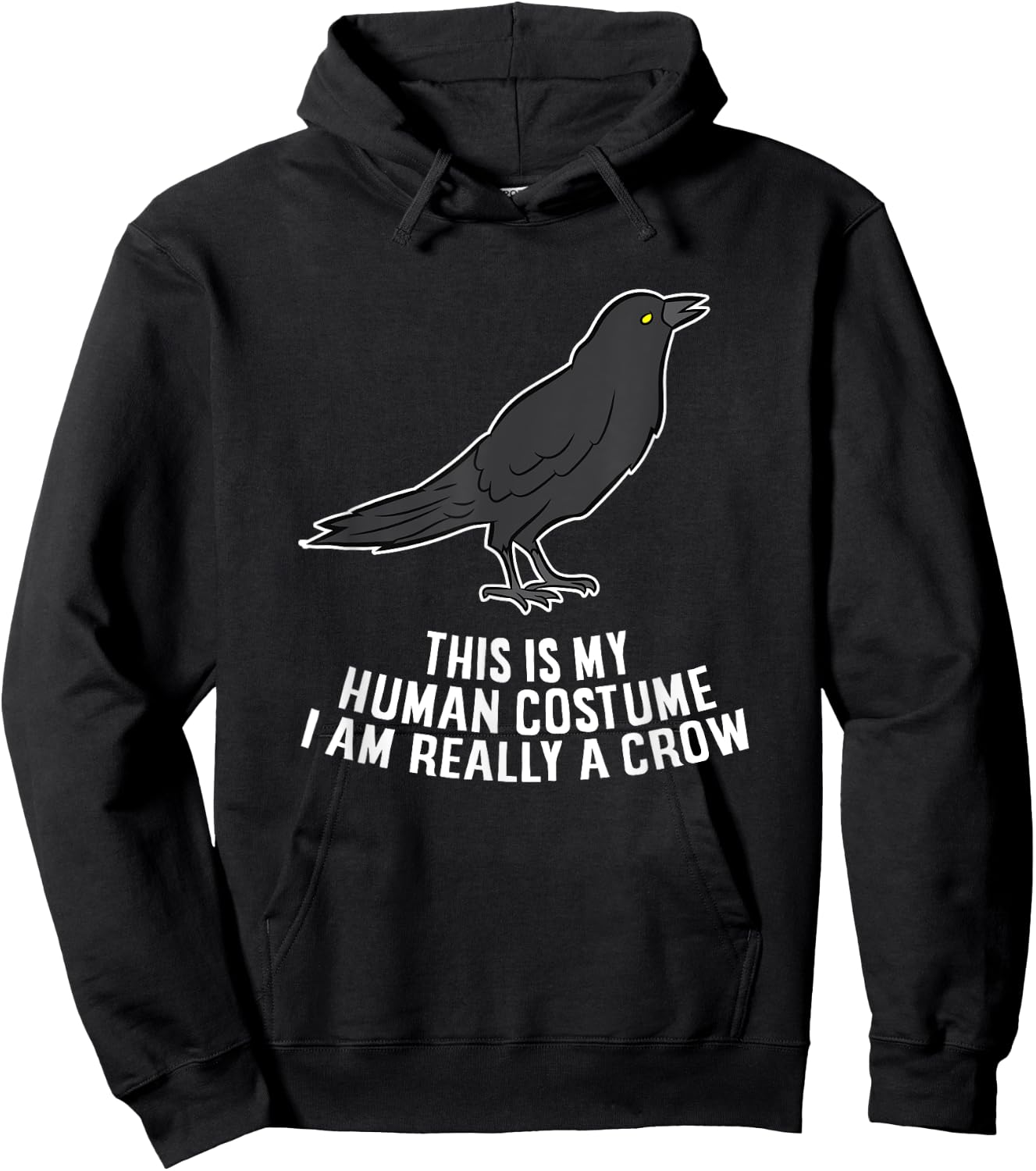 This Is My Human Costume I'm Really A Crow Hoodie - Hoodie | Black