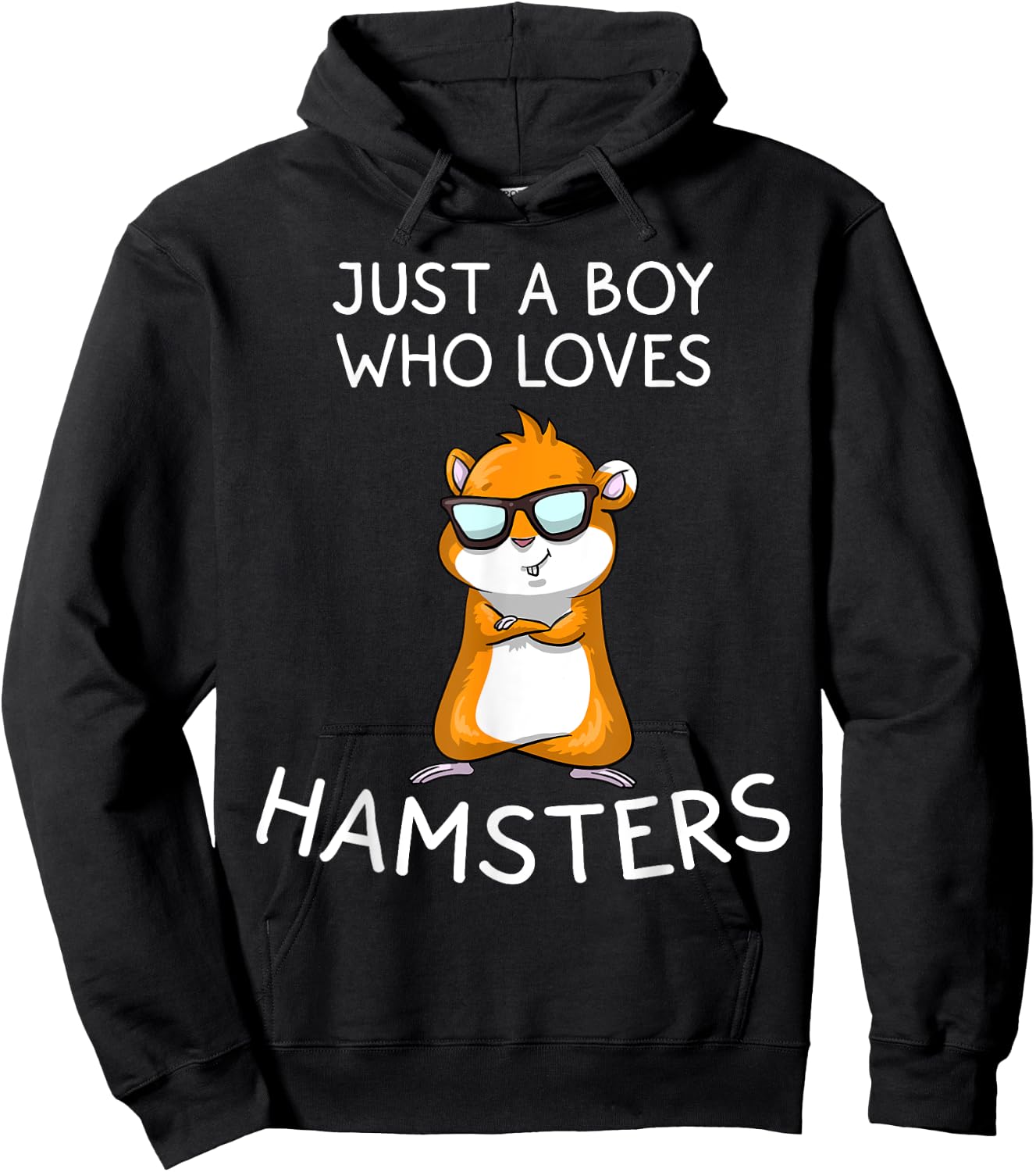 Funny Hamster Gift Kids And Boys Cool Tiny Rat Pet Lover Hoodie - Hoodie | Black