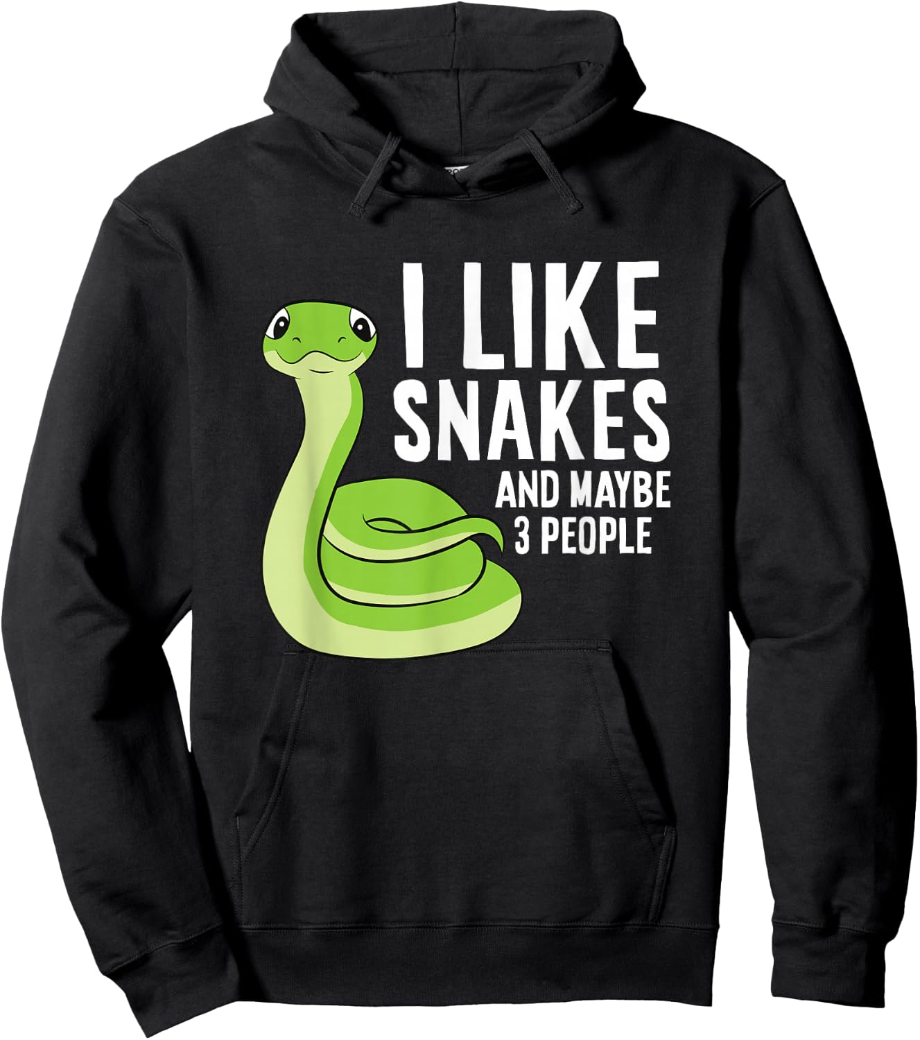 Snake Owner Pet Snake I Like Snakes And Maybe 3 People Hoodie - Hoodie | Black