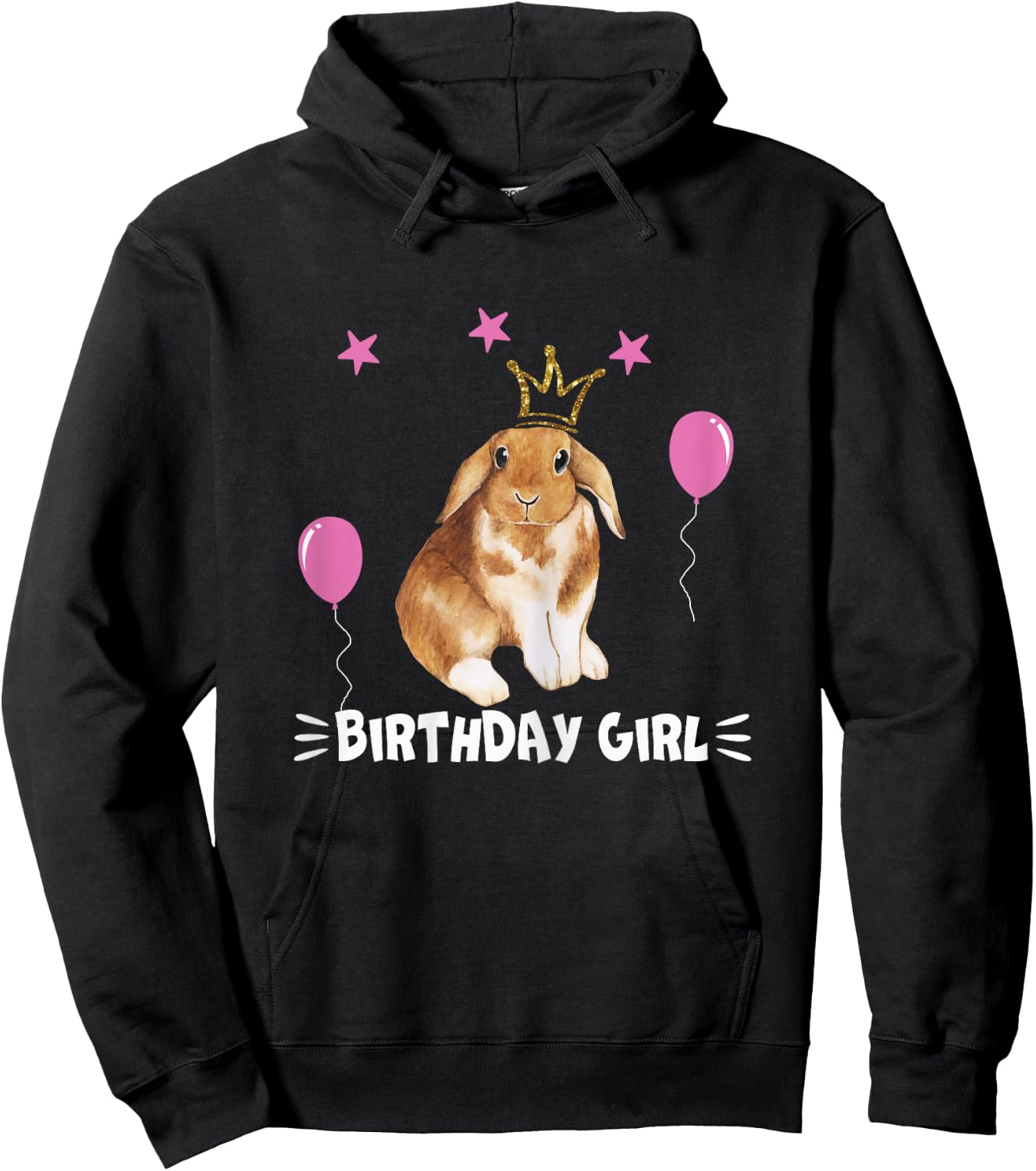 Little Birthday Girl shirt Bunny Princess Cute Rabbit gift Hoodie - Hoodie | Black