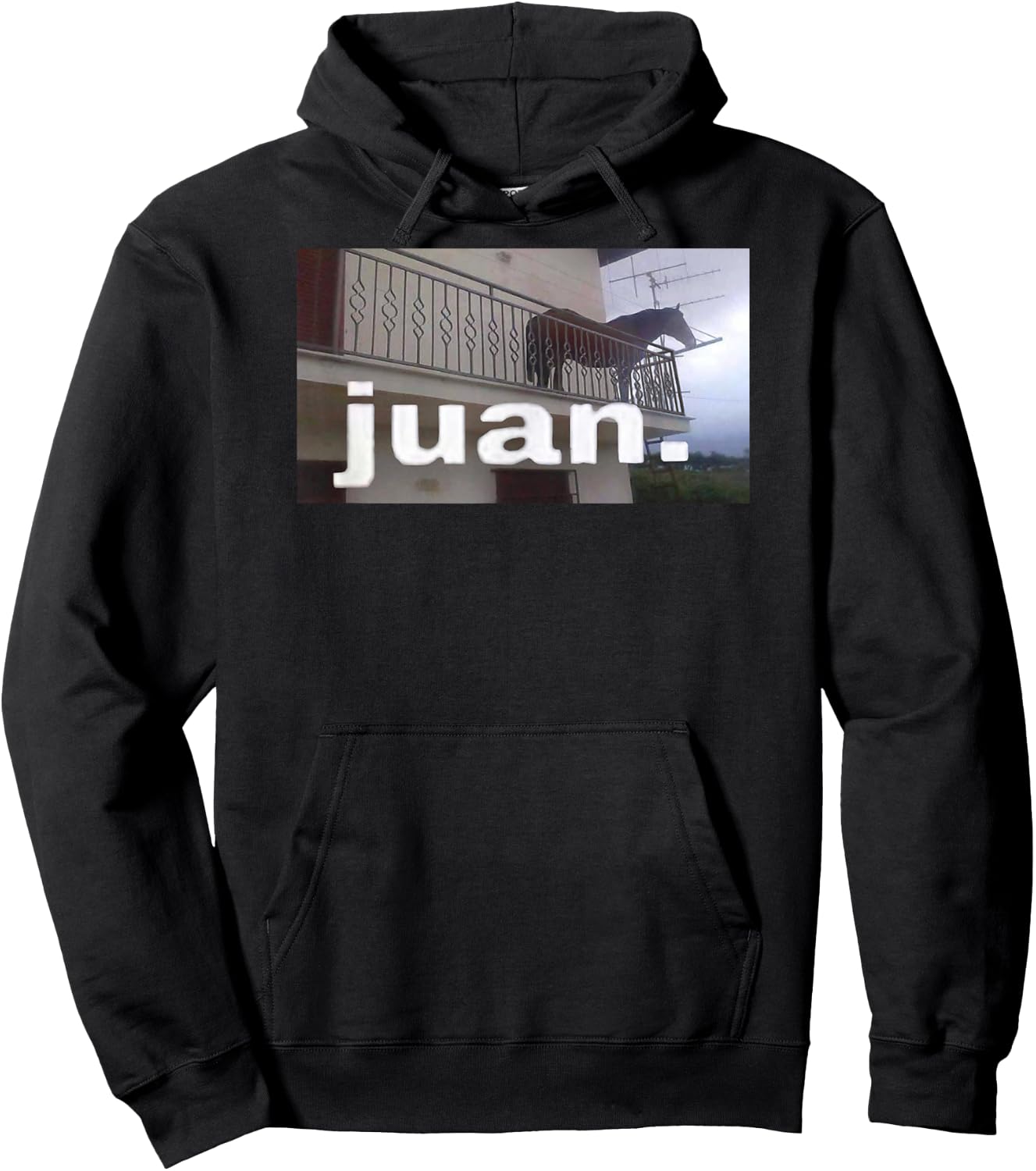Juan Horse Meme on Balcony Hoodie - Hoodie | Black