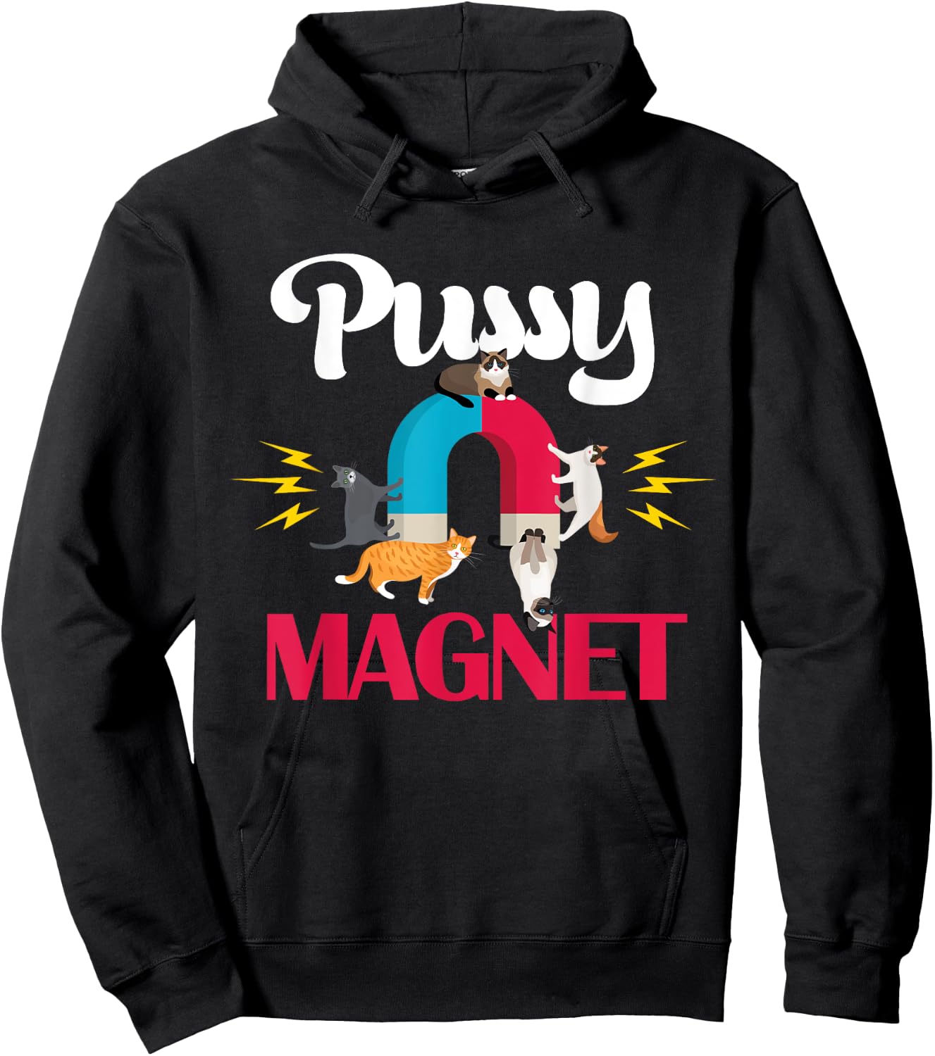 Cat Dad Pussy Magnet Adult Pun Funny Fur Dad Cat Lover Hoodie - Hoodie | Black