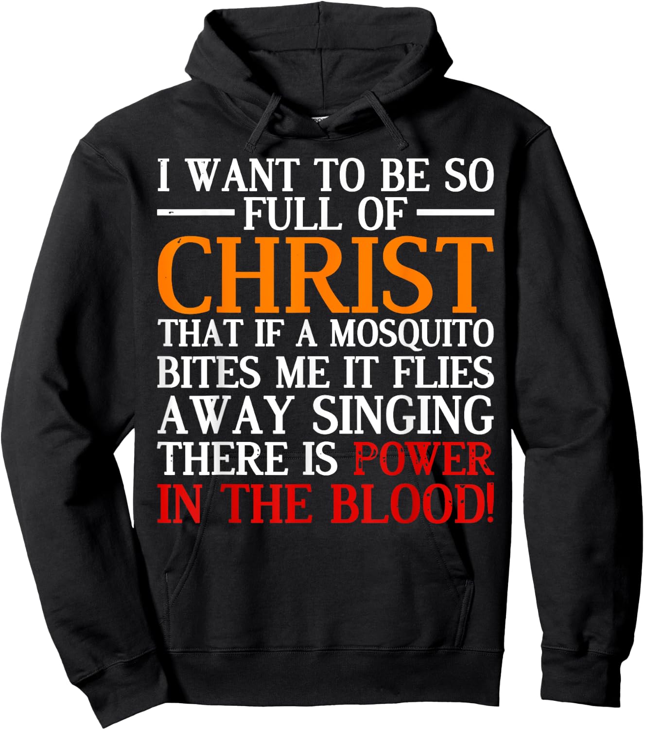 I Want To Be So Full Of Christ That If A Mosquito Bites Me Hoodie - Hoodie | Black