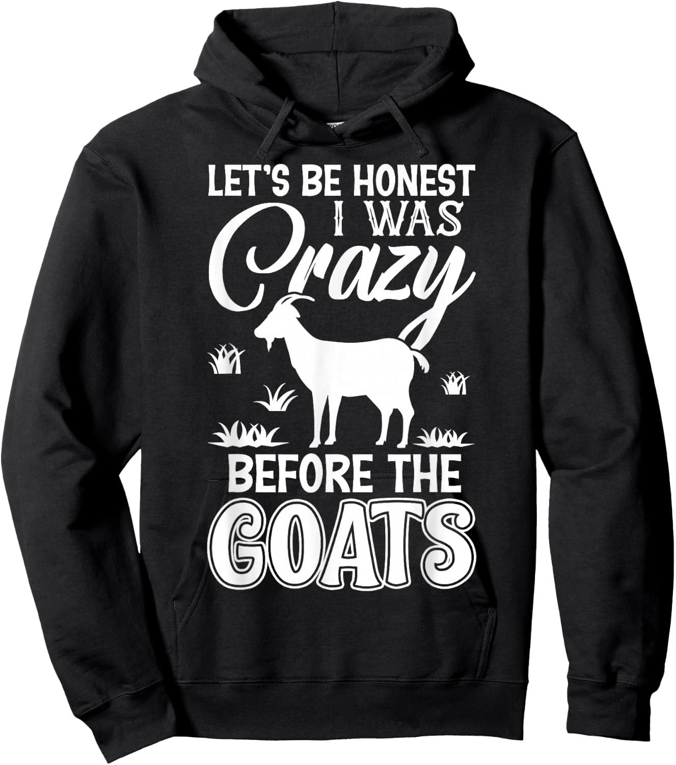 Let's Be Honest I Was Crazy Before The Goats Awesome Gift Hoodie - Hoodie | Black