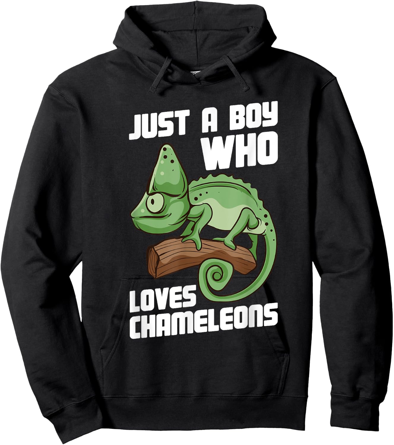 Just a Boy Who Loves Chameleons Cute Lizard Chameleon Hoodie - Hoodie | Black