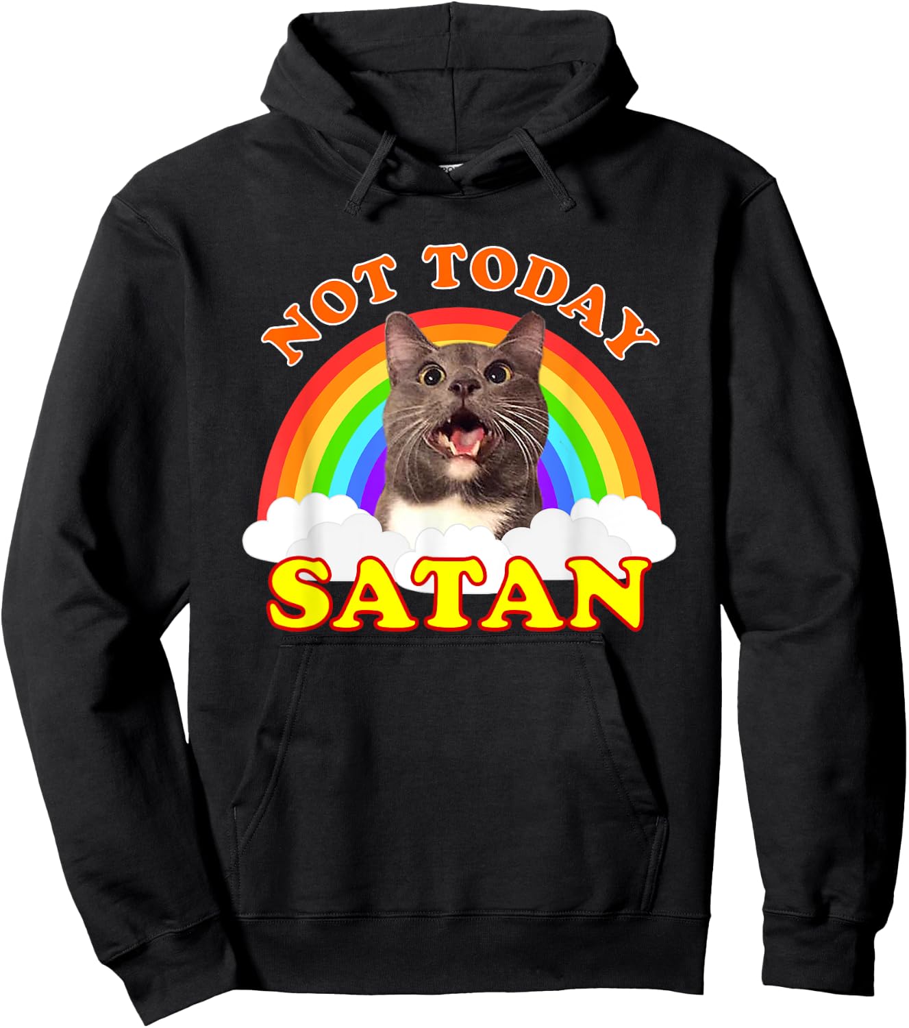 Funny Not Today Satan Cat Hoodie - Hoodie | Black