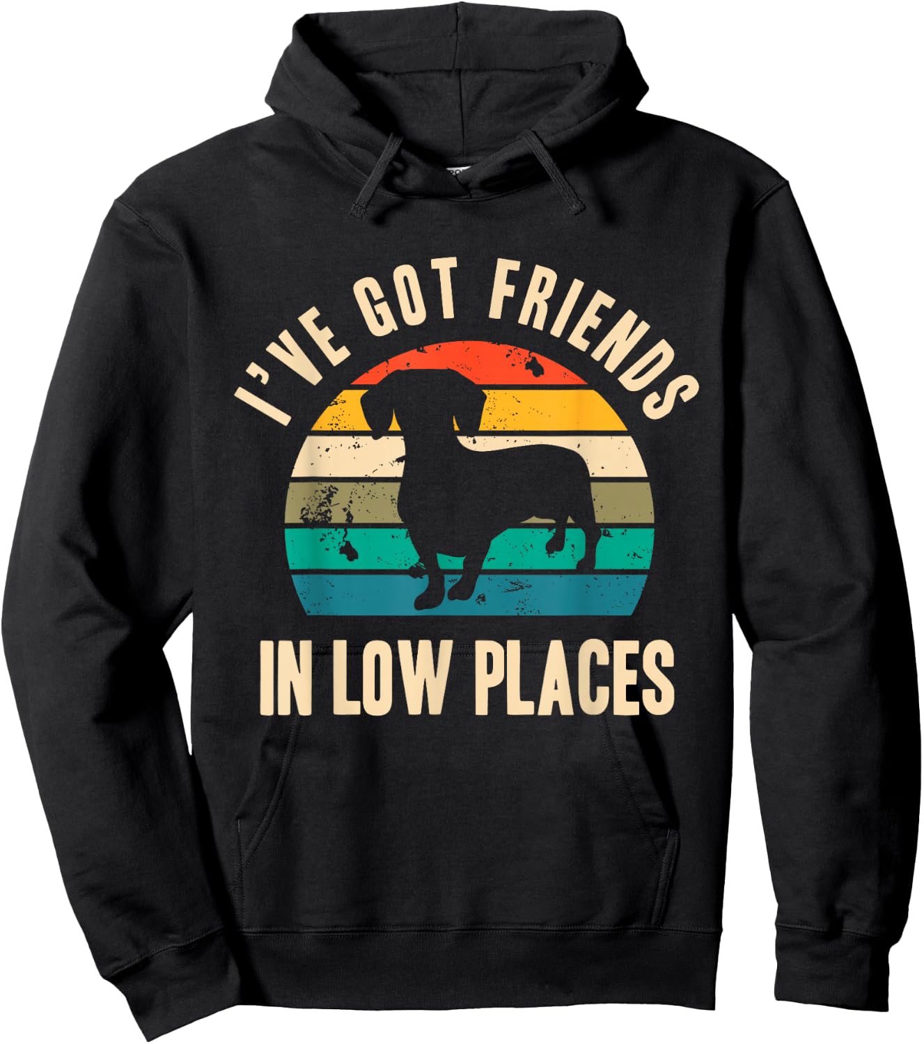 I've Got Friends In Low Places Funny Dachshund Vintage Gift Hoodie - Hoodie | Black