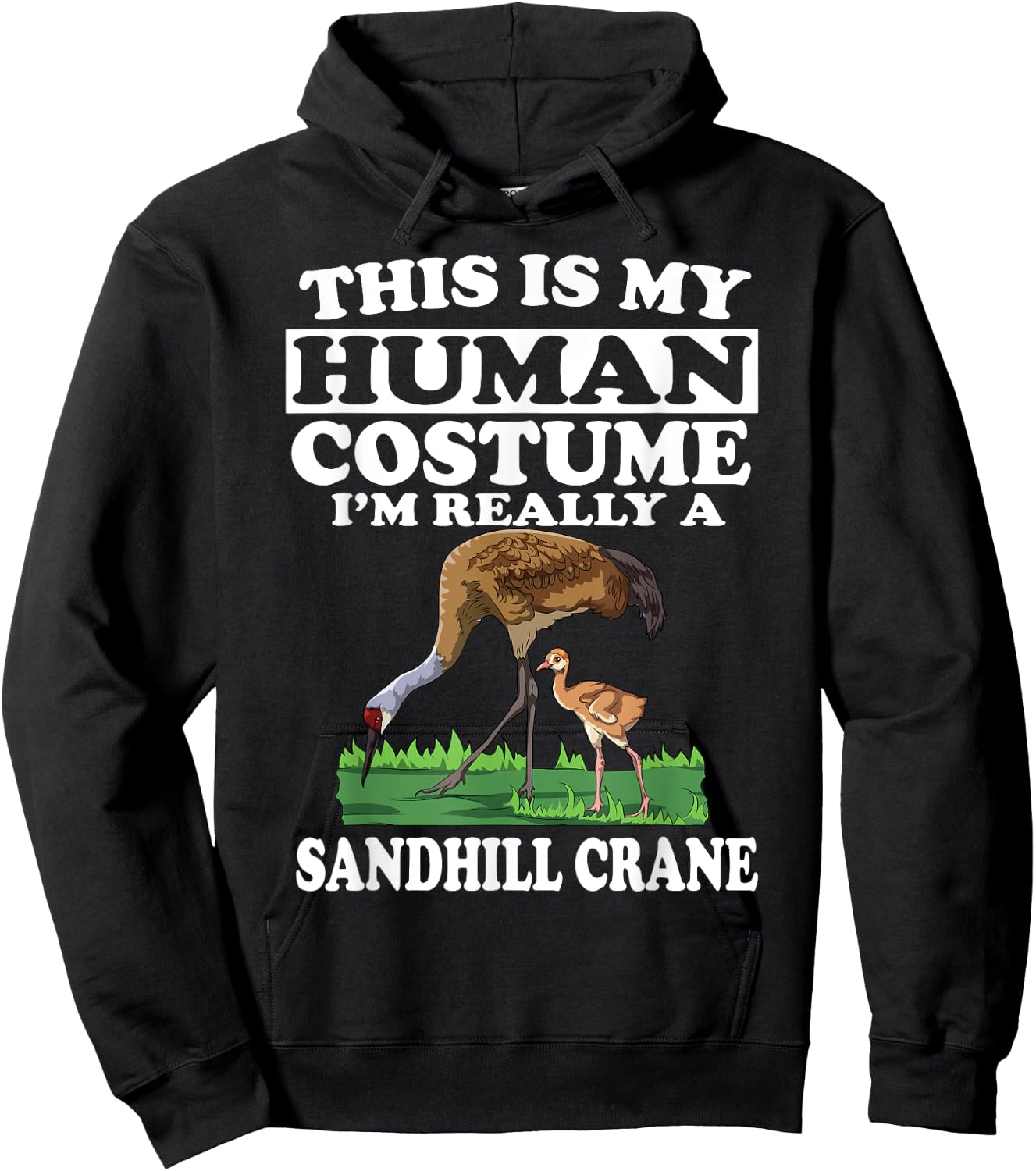 This Is My Human Costume I'm Really A Sandhill Crane Birding Hoodie - Hoodie | Black