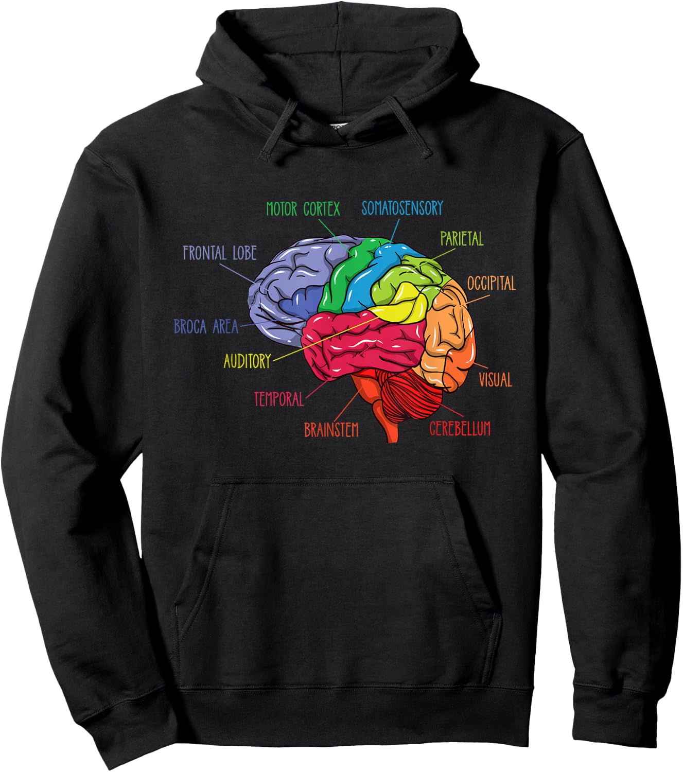 Anatomy Of The Brain Neurologist Gift Hoodie - Hoodie | Black