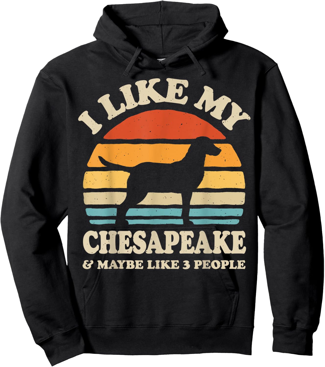 I Like My Chesapeake Bay Retriever Chessie Dog Lover Retro Hoodie - Hoodie | Black