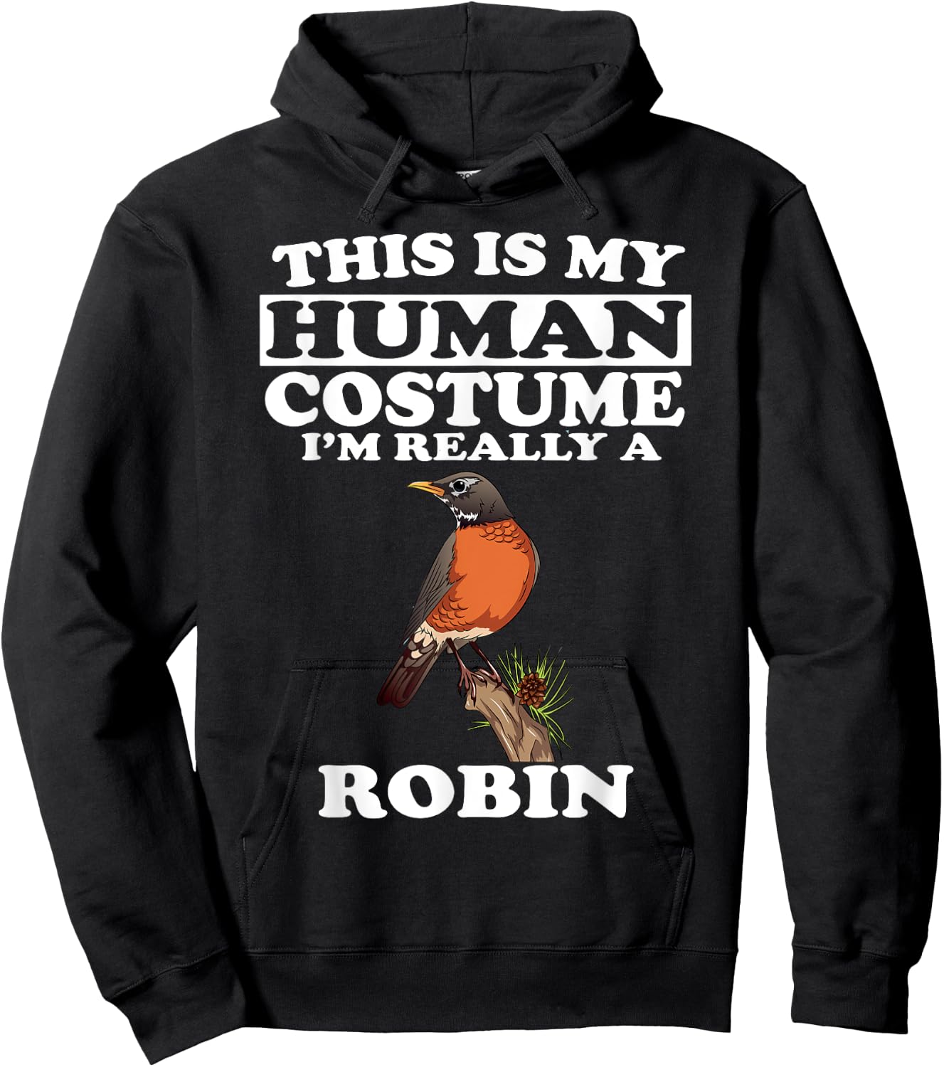 This Is My Human Costume I'm Really A Robin Bird Birding Hoodie - Hoodie | Black