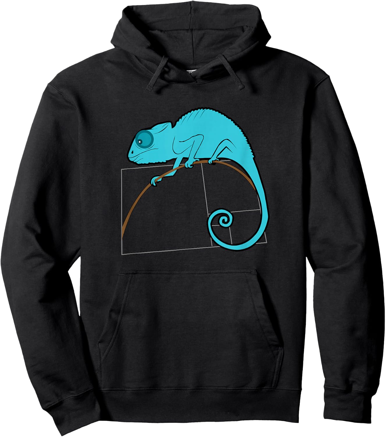 Fibonacci Chameleon Golden Ratio Hoodie - Hoodie | Black