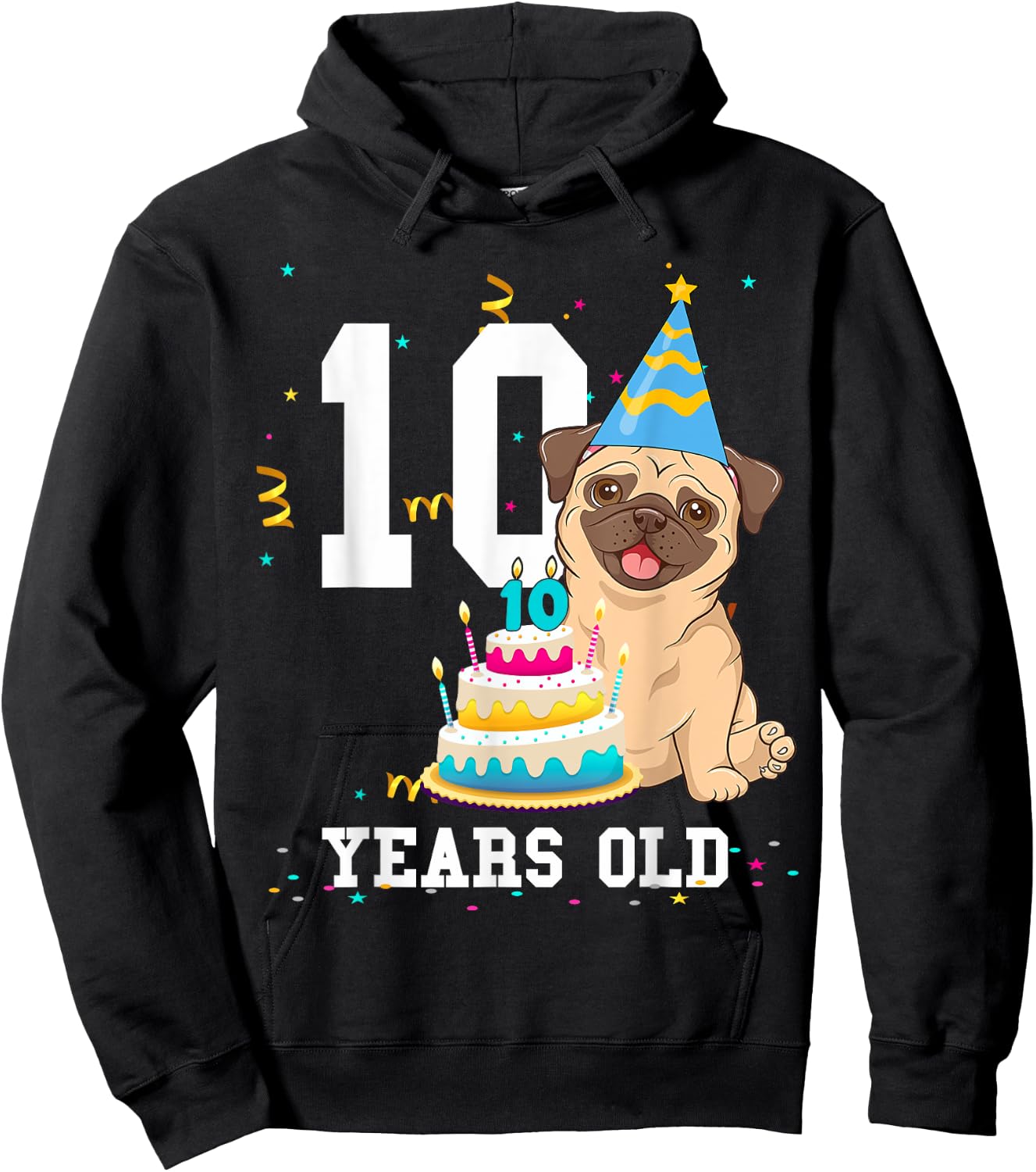 10 Years Old Birthday Pug Dog Lover Party Kids Boys Girls Hoodie - Hoodie | Black