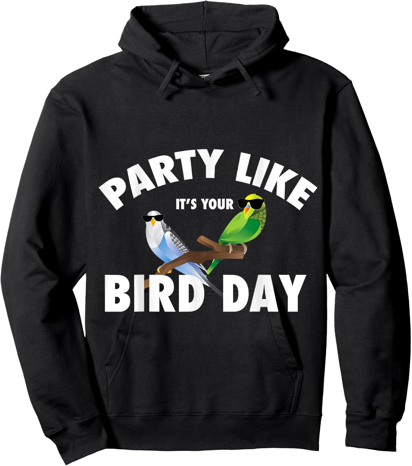 Party Like It's Your Bird Day Parakeet Budgie Bird Lover Hoodie - Hoodie | Black
