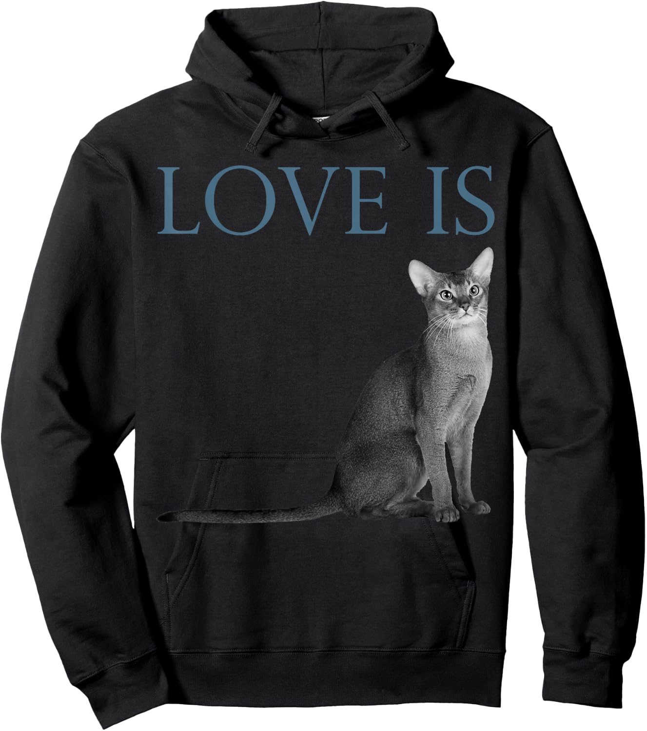 Love Is Abyssinian Cat Hoodie - Hoodie | Black