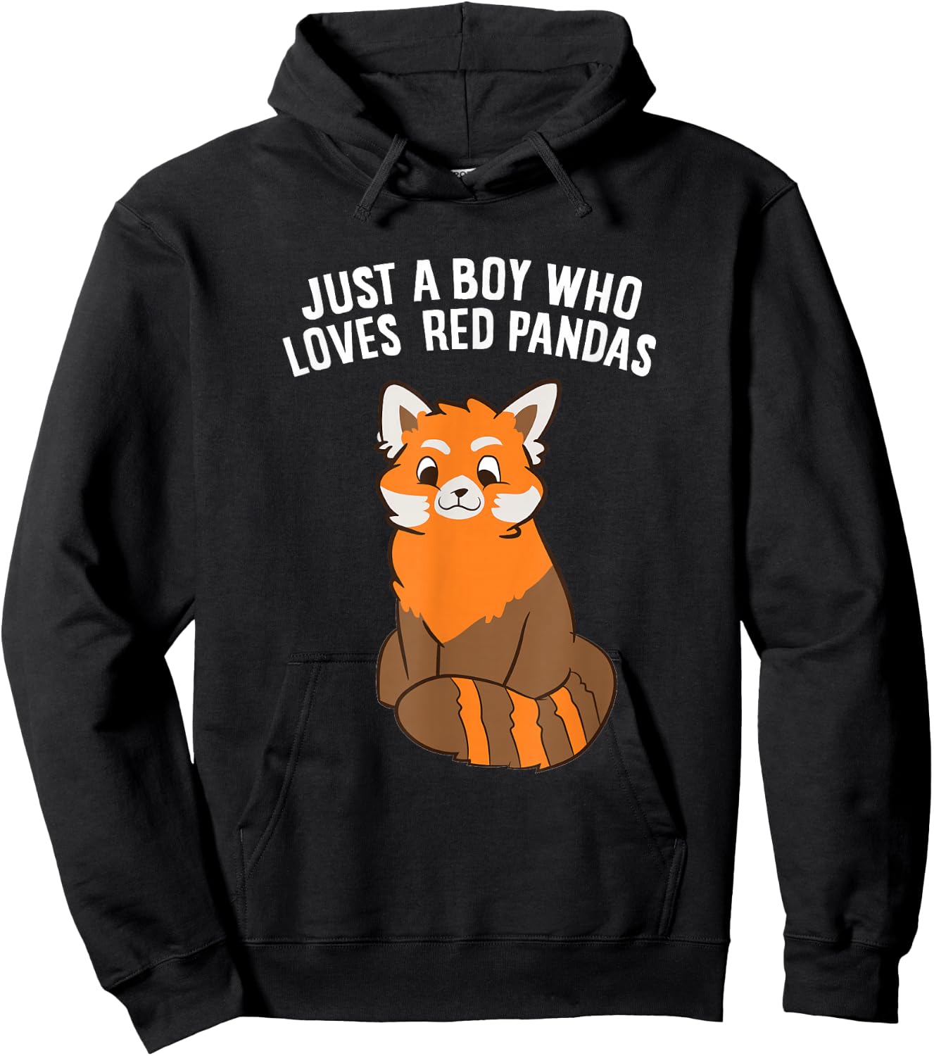 Just a Boy Who Loves Red Pandas Hoodie - Hoodie | Black